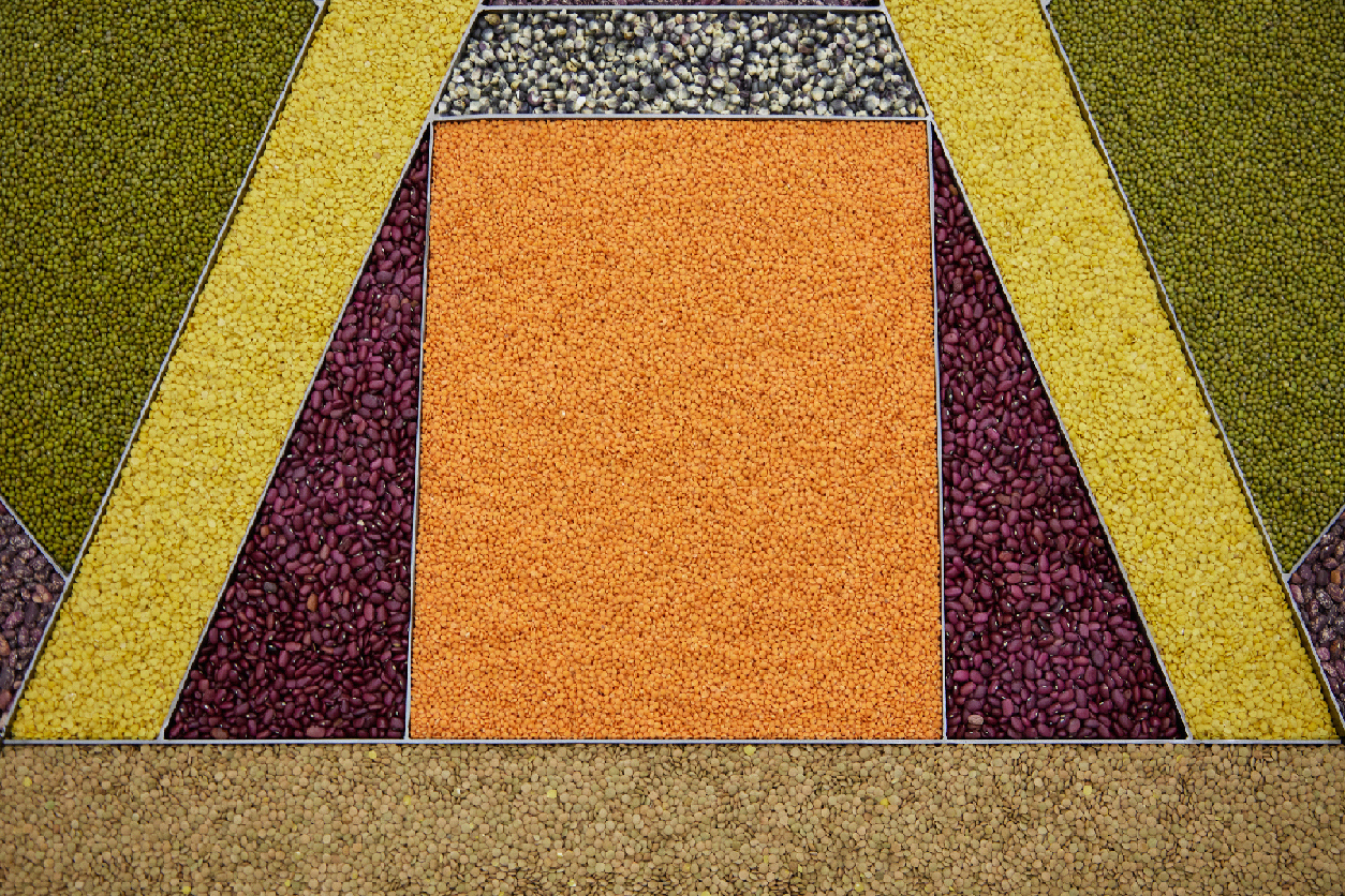 Anna K.E., Detail from Mandala Tranquil Gaze, 2022, Metal, Wood, Plastic, Grains, 181x410 cm
