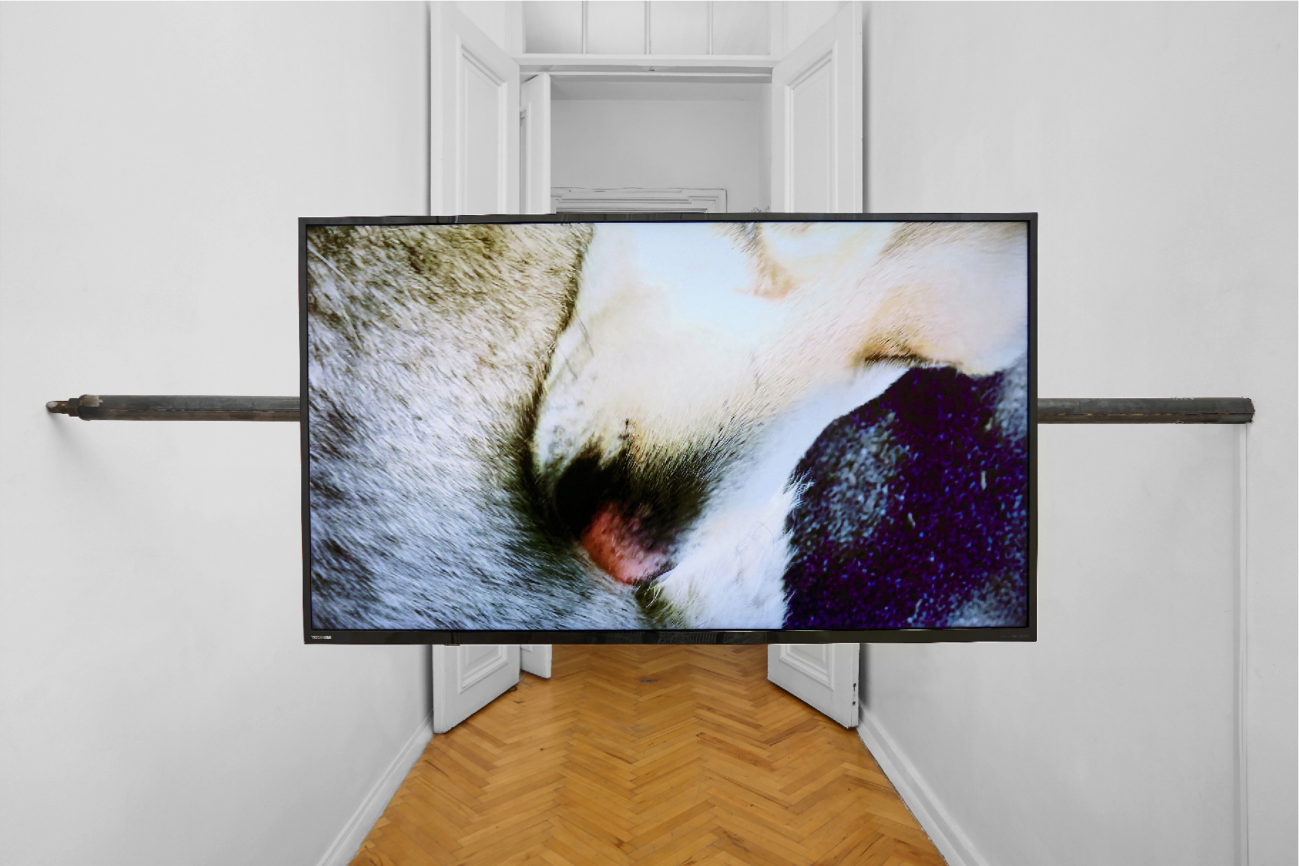 Anna K.E., In order, 2022, Video, Edition of 5 Plus 2 AP