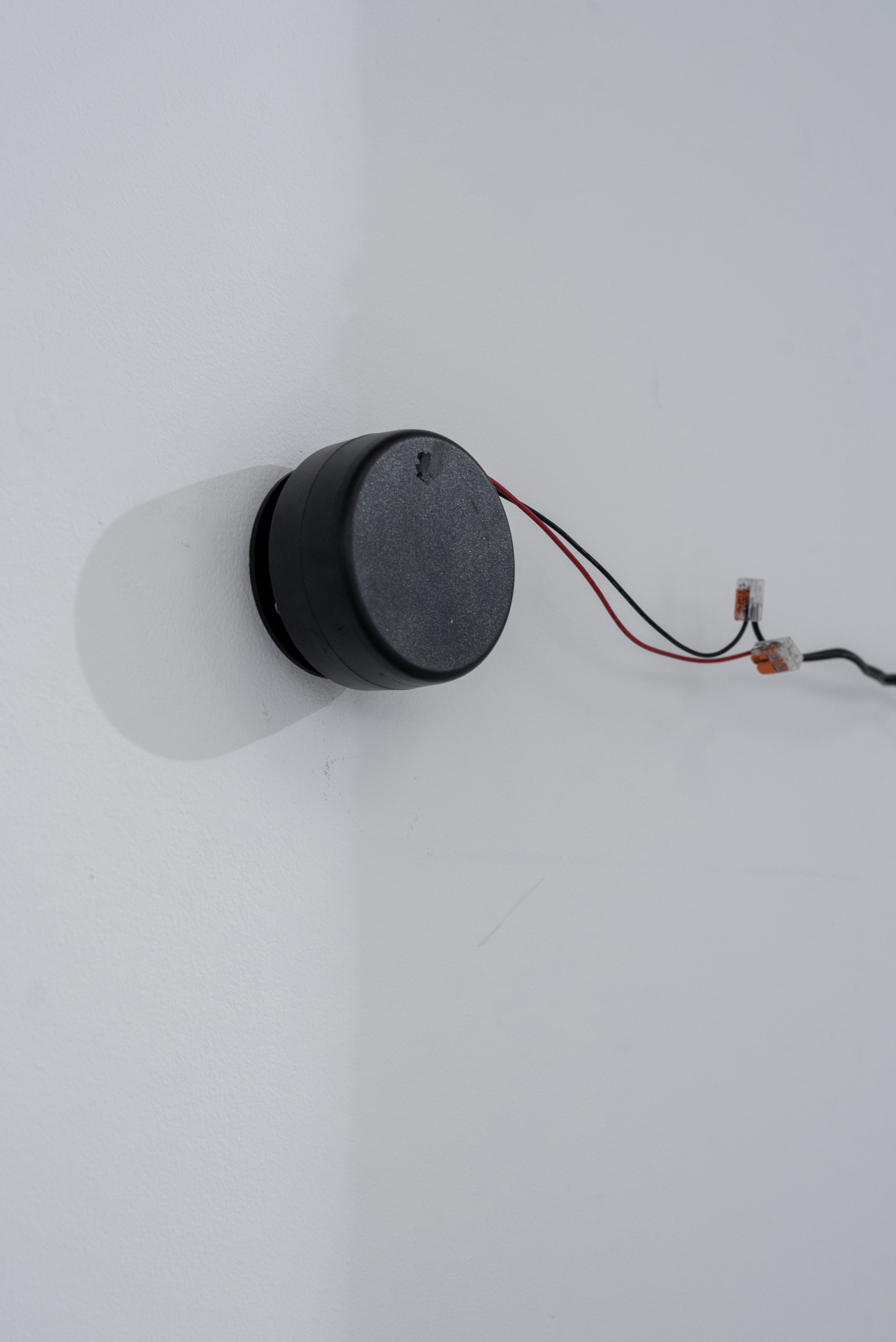 Ignas Krunglevičius, Acid Rain Echo, 2022, installation view, Galerija Vartai, Vilnius, Lithuania