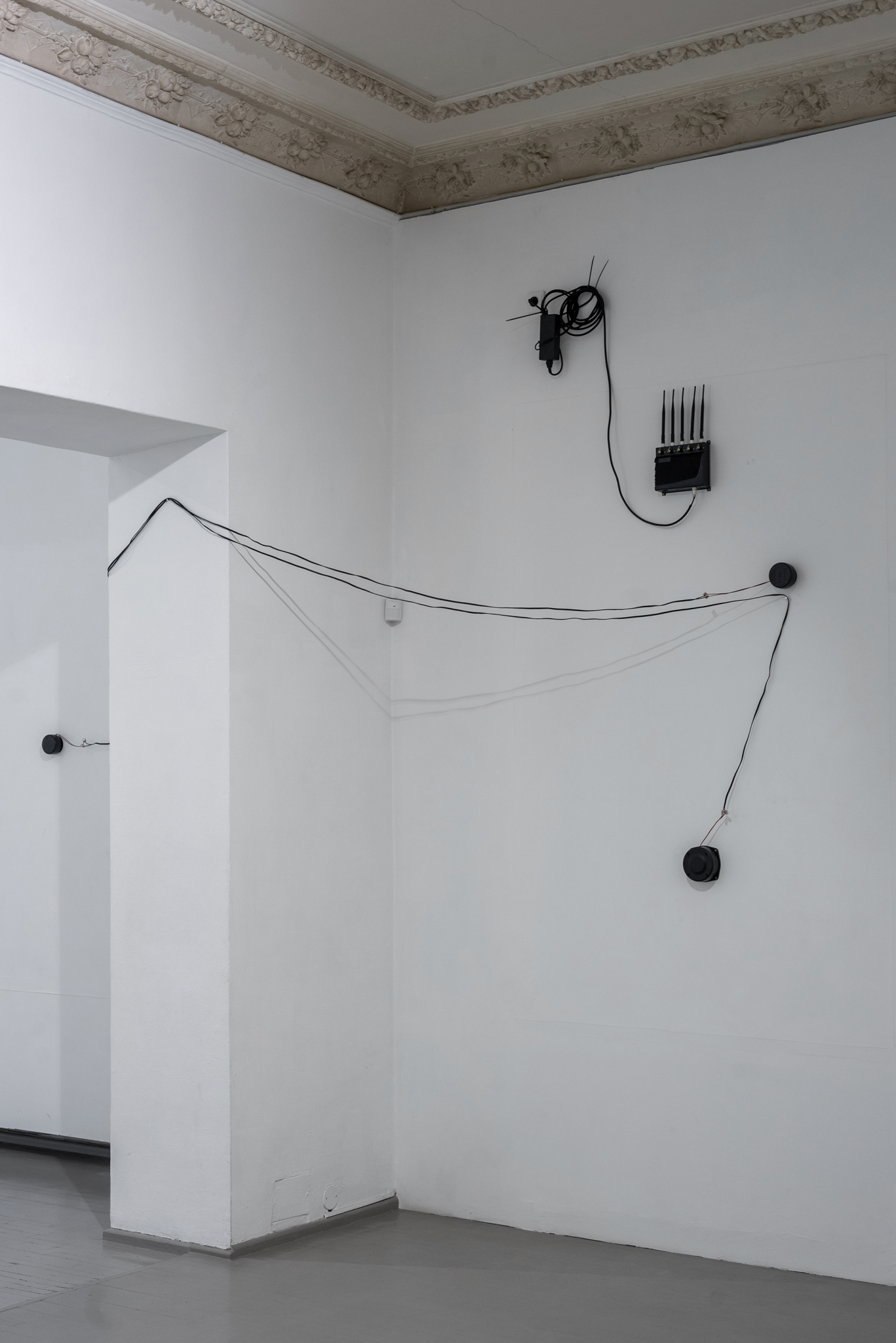 Ignas Krunglevičius, POSSESSOR series, 2022, 11 min audio installation