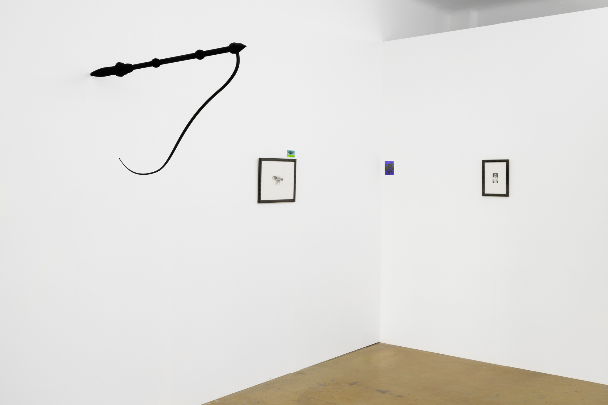 Reaching inside my insides inside my insides installation view