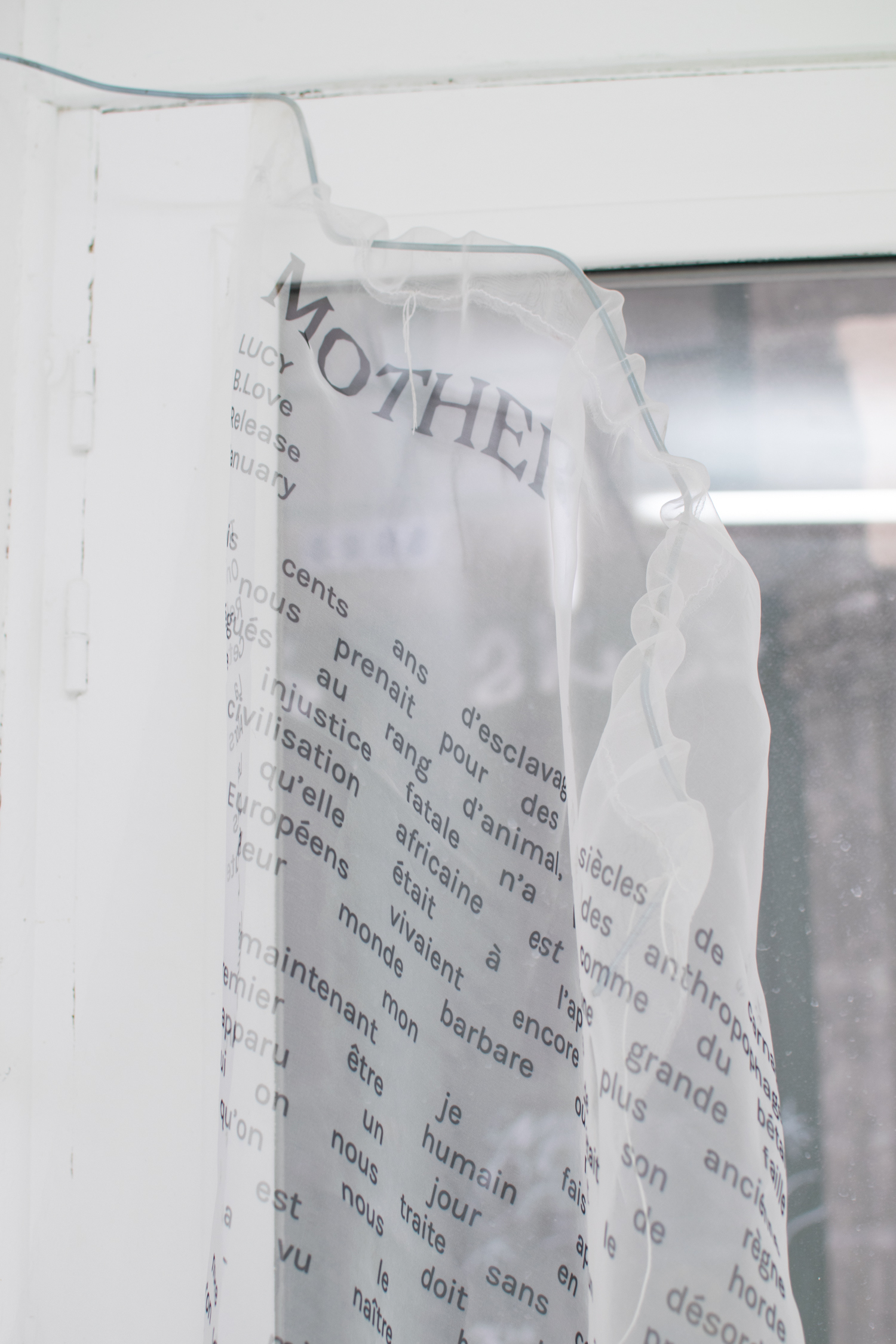 My Mother had a Mother (detail), Aliha Thalien, printed organza, metal, 2022, Courtesy of In extenso.