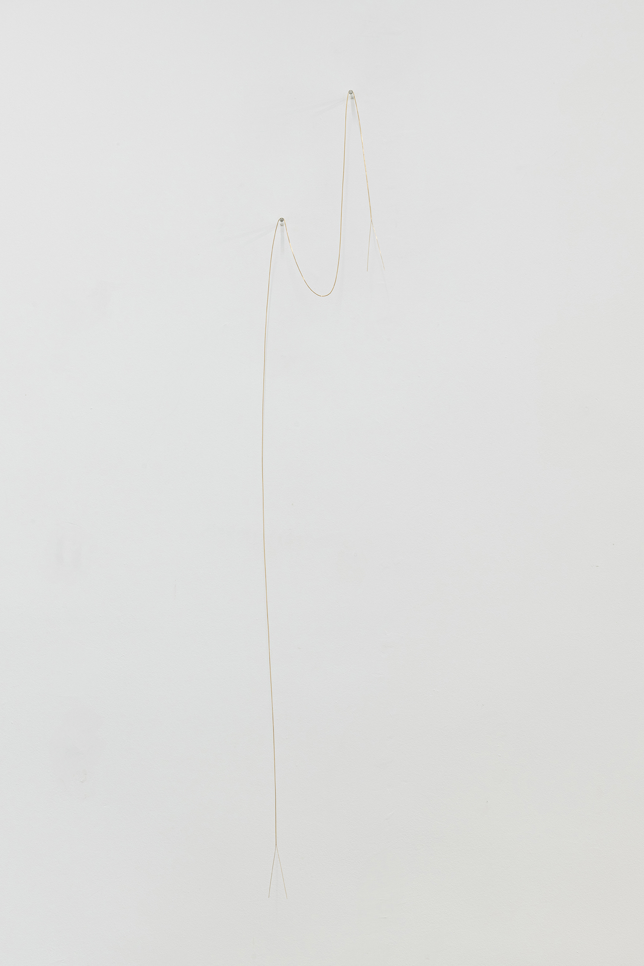 Expanding into her heart and viceversa, Joana Escoval, 2022, gold, glass, 150 x 25 x 8 cm.