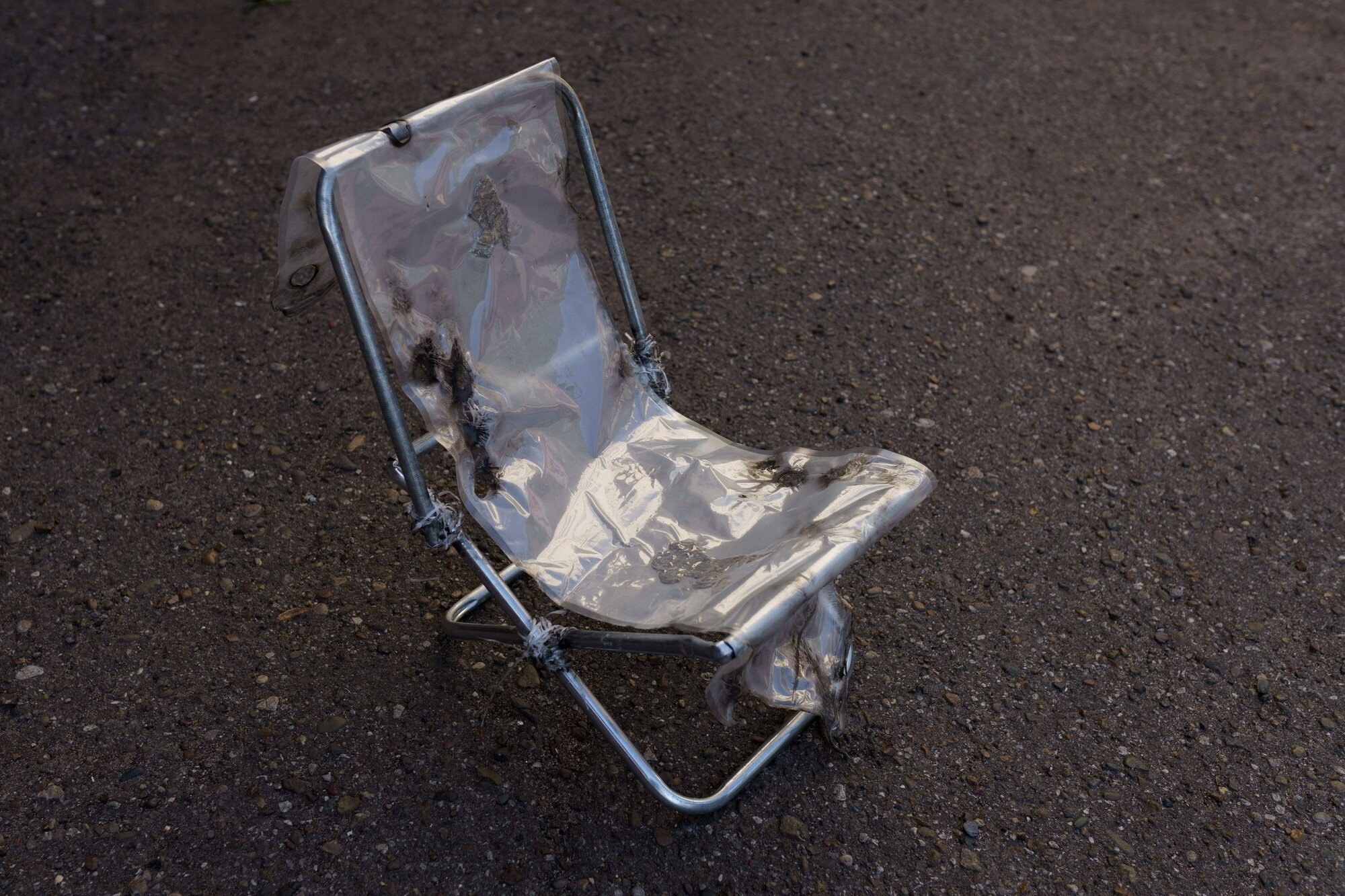 Alina Izmailova, Creeping, 2021, frame, vacuum, frogs, dimensions vary