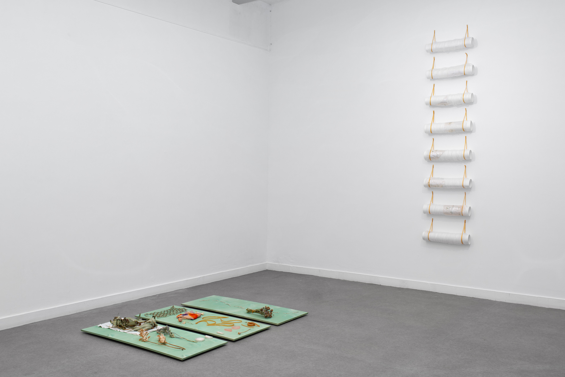 Exhibition view Élise Peroi « Peut-être ce jardin n’existe-t-il qu’à l’ombre de nos paupières baissées », 2022, CACC.