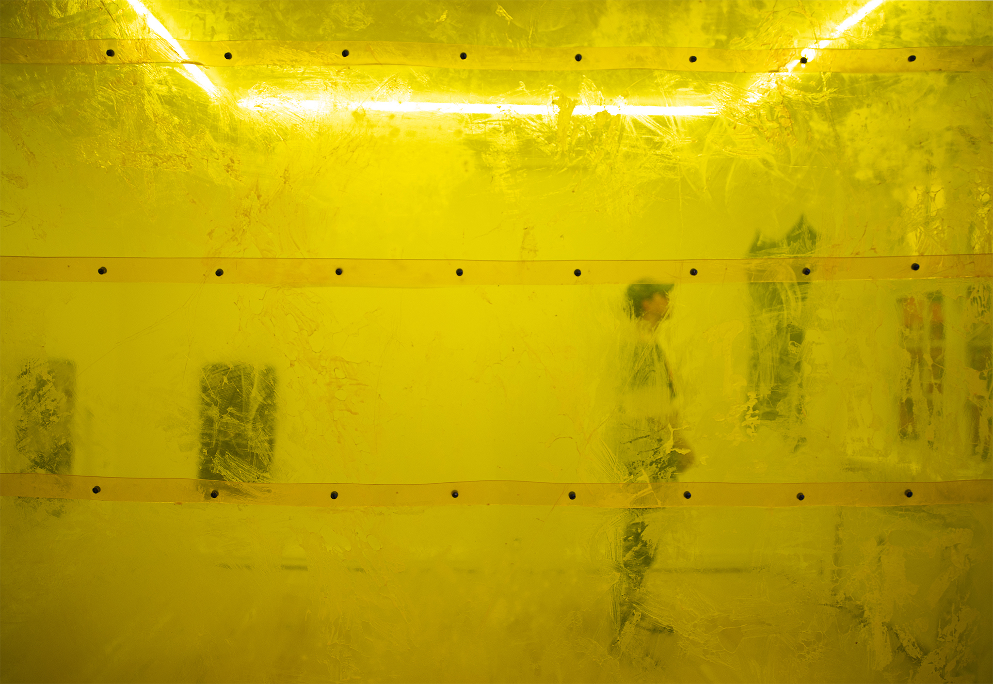 Grüner Vogelius, Installation view at Matteo Cantarella, 14.10.22 - 12.11.22