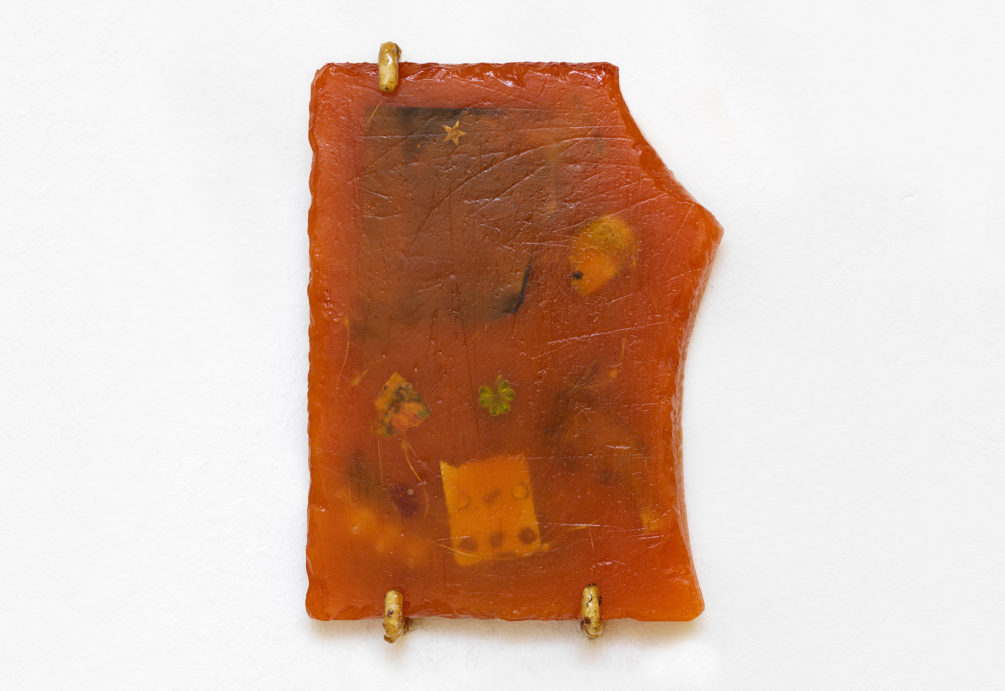 Grüner Vogelius, "Overexposure", 2022, Epoxy, three clovers jewellery pendant, moss, star stud, oyster mushroom, graphic gravure print, 3D starfish arm, found image, shoe sole, thistle, Ted-i LED lights, blister packs (alprazolam) 28.0 x 20 x 2.5 cm