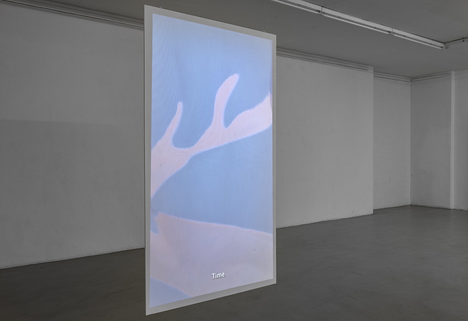 natalie brĂŒck, movement, videoloop, 2022
