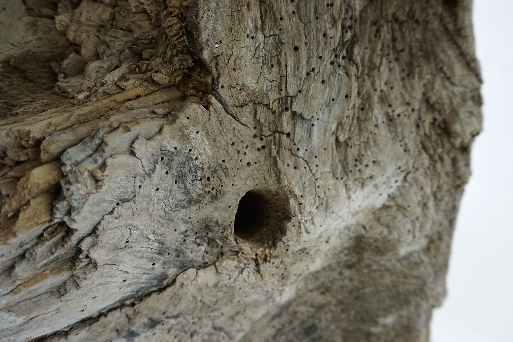 Ø Exhibition view #10