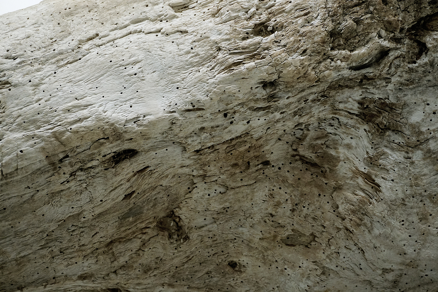 Ø Exhibition view #11