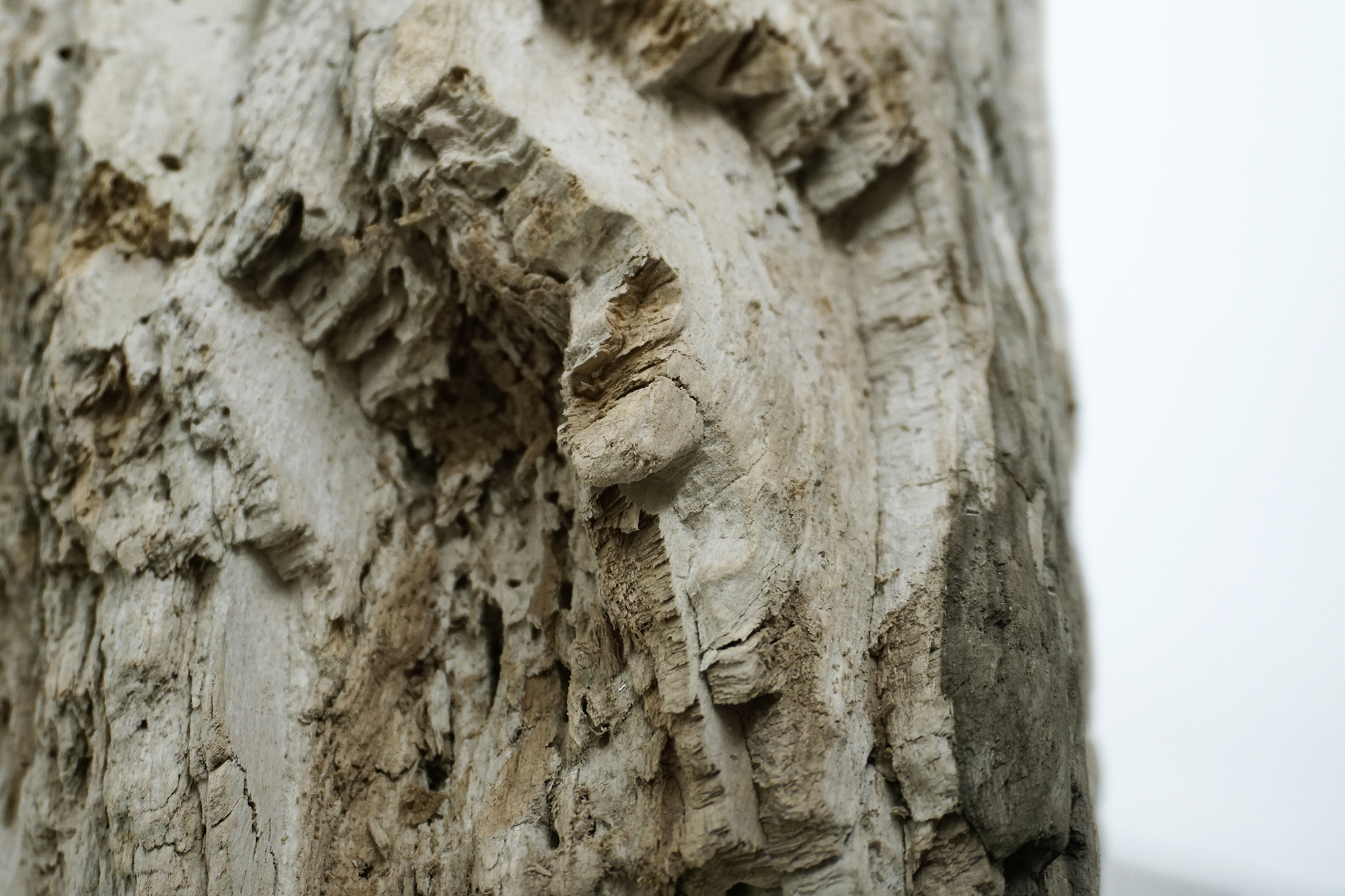 Ø Exhibition view #12