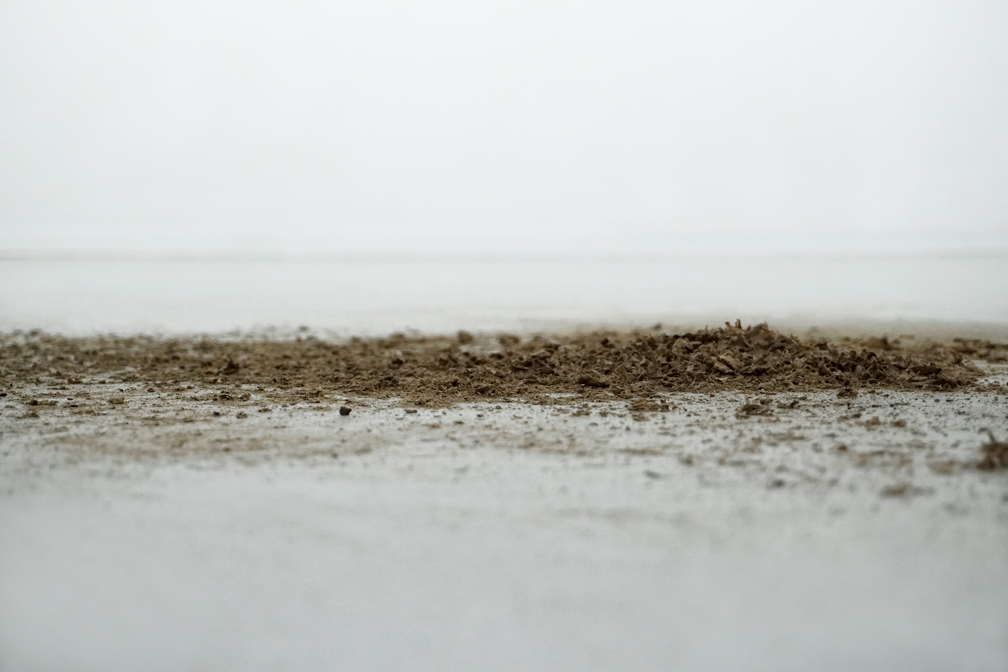 Ø Exhibition view #5