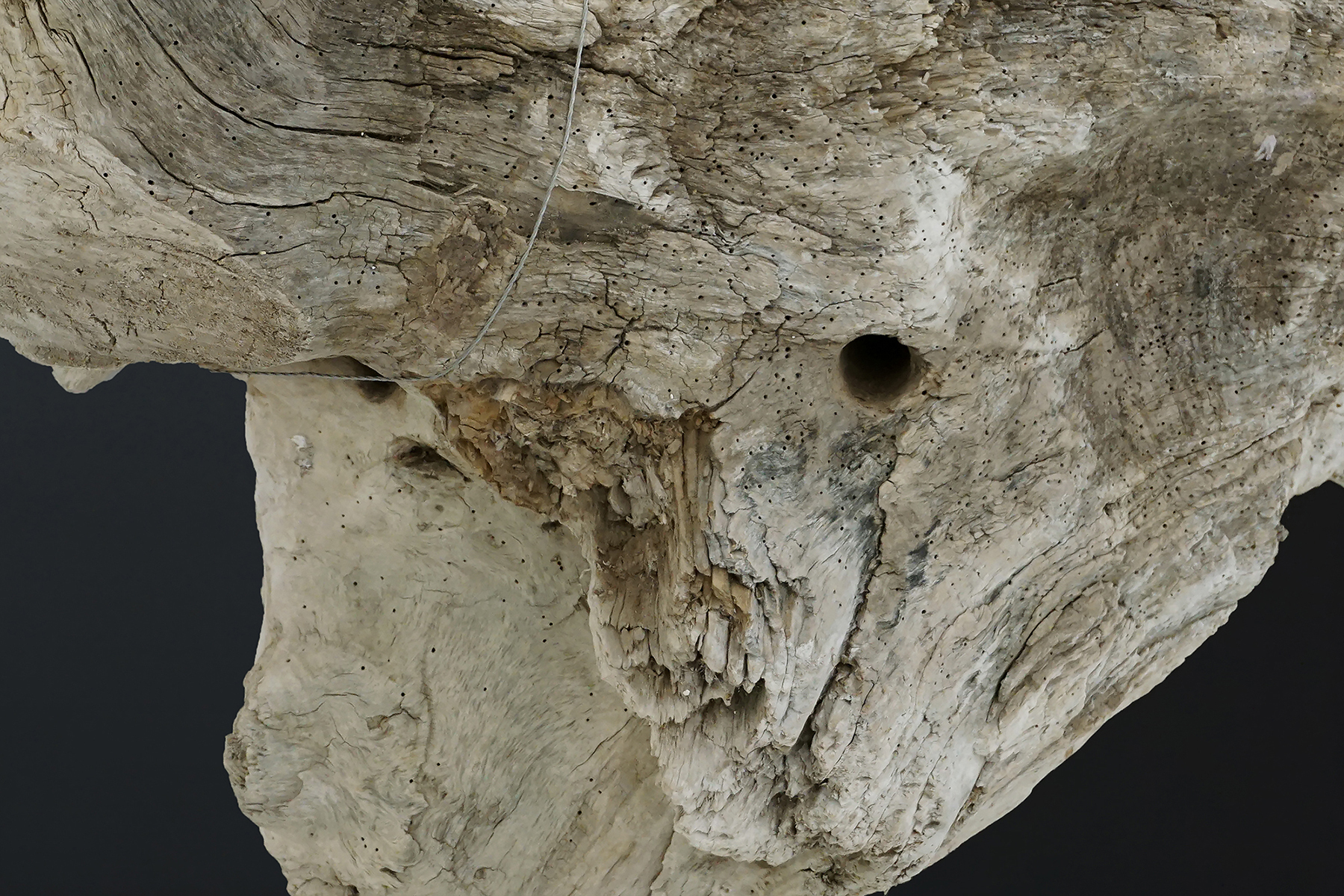 Ø Exhibition view #8