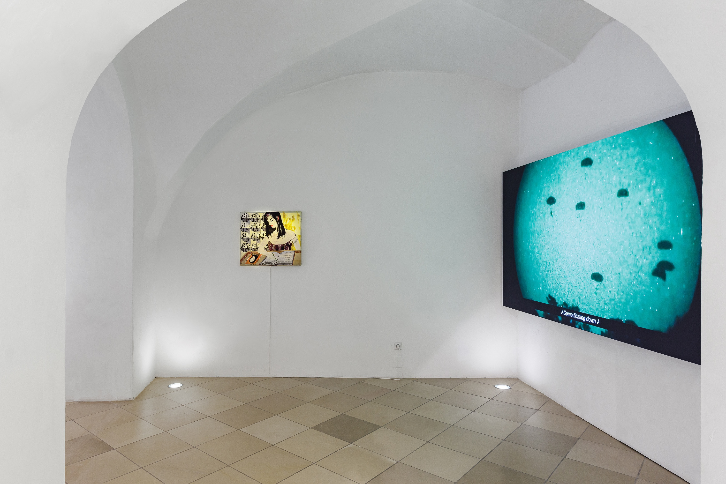 Installation view, Capture Captures, curated by Lucie Pia, Universitätsgalerie der Angewandten im Heiligenkreuzerhof, Sala Terrena, Wien, 2022.