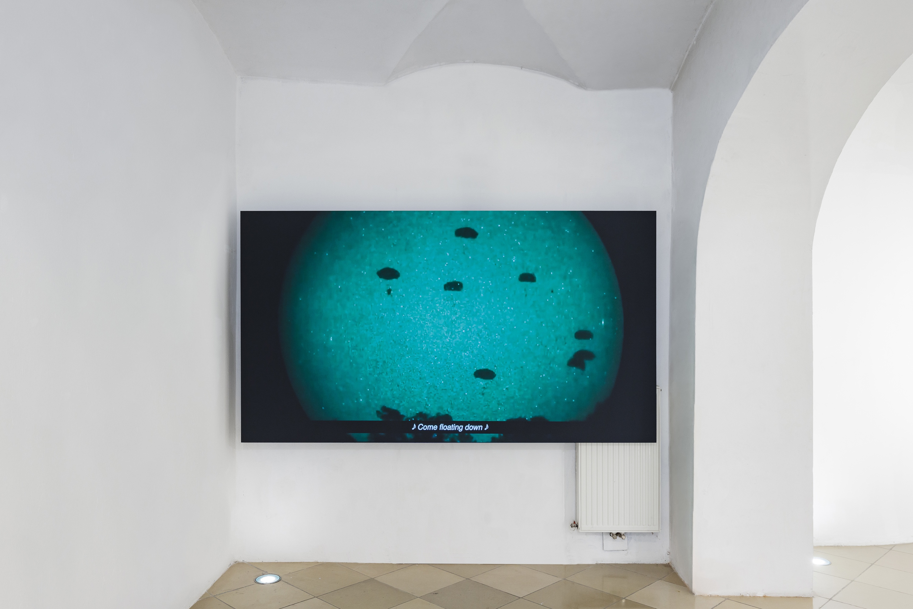 Anahita Asadifar, The Otherside, 2019, Installation view Capture Captures, curated by Lucie Pia, UniversitÃ¤tsgalerie der Angewandten im Heiligenkreuzerhof, Sala Terrena, Wien, 2022