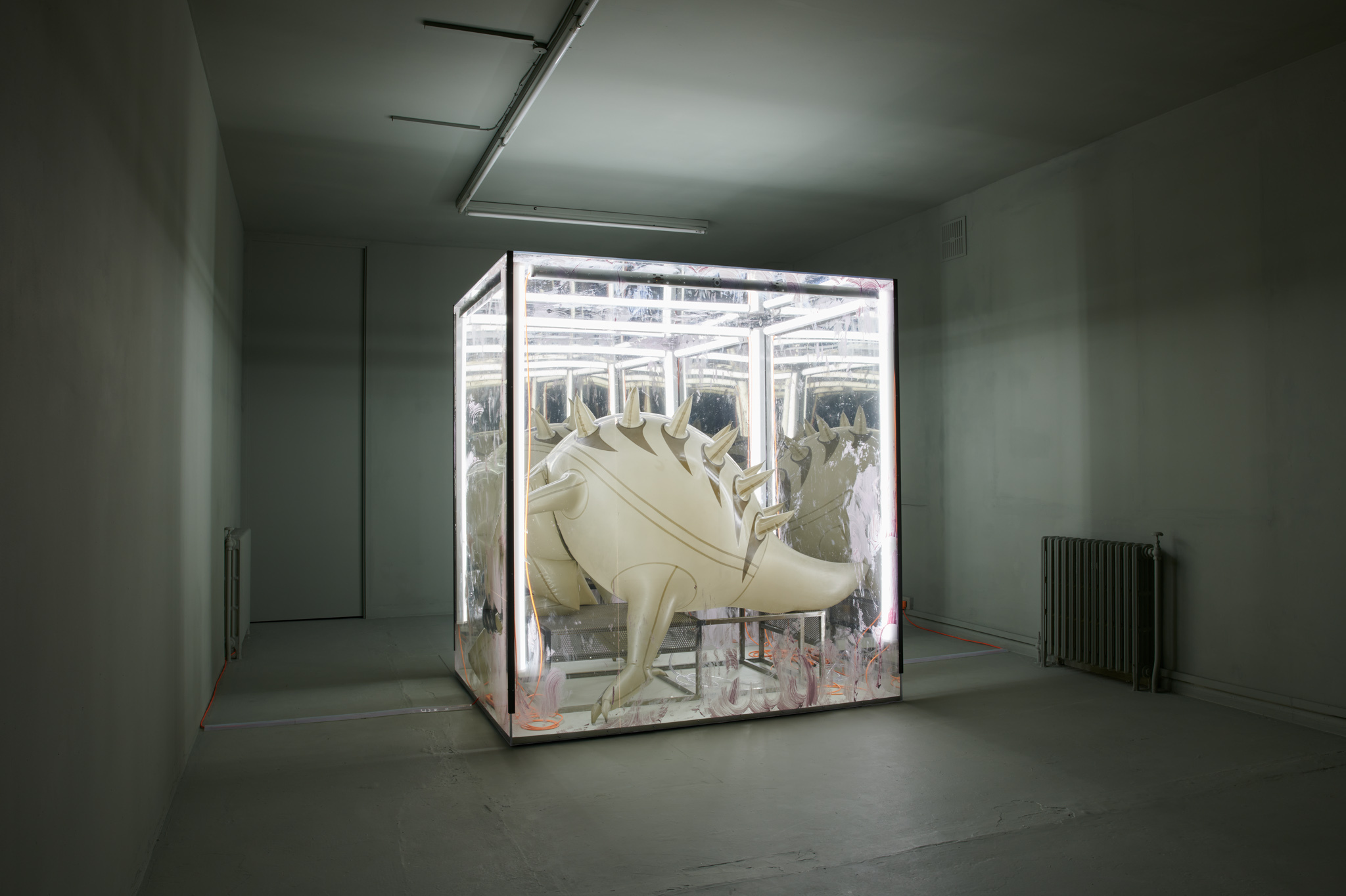 Jenkin van Zyl, Vore, Rose Easton, 17 November – 17 December 2022