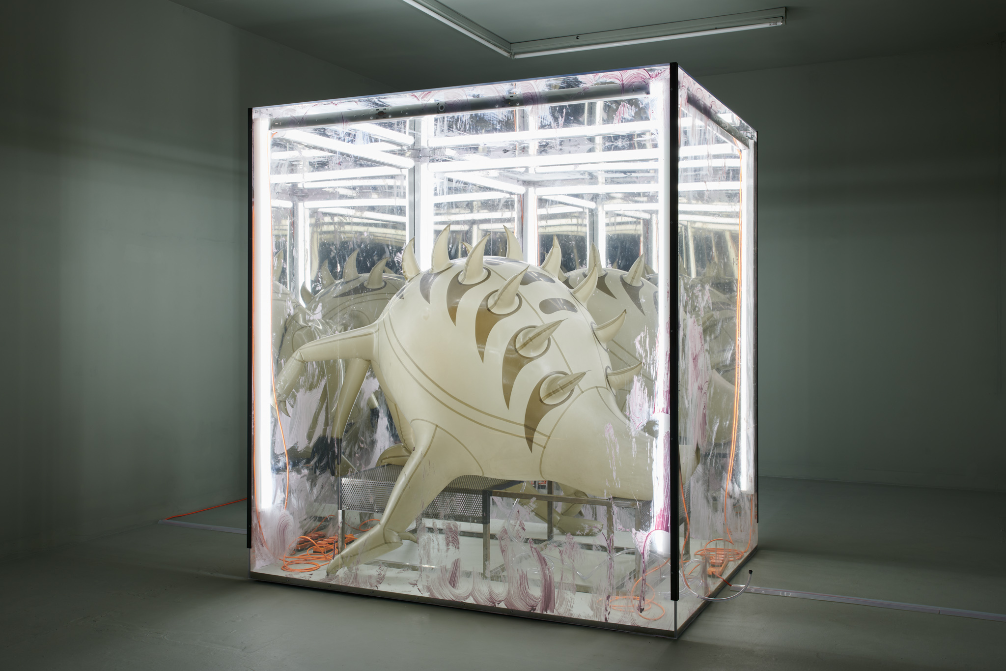 Jenkin van Zyl, Vore, Rose Easton, 17 November – 17 December 2022