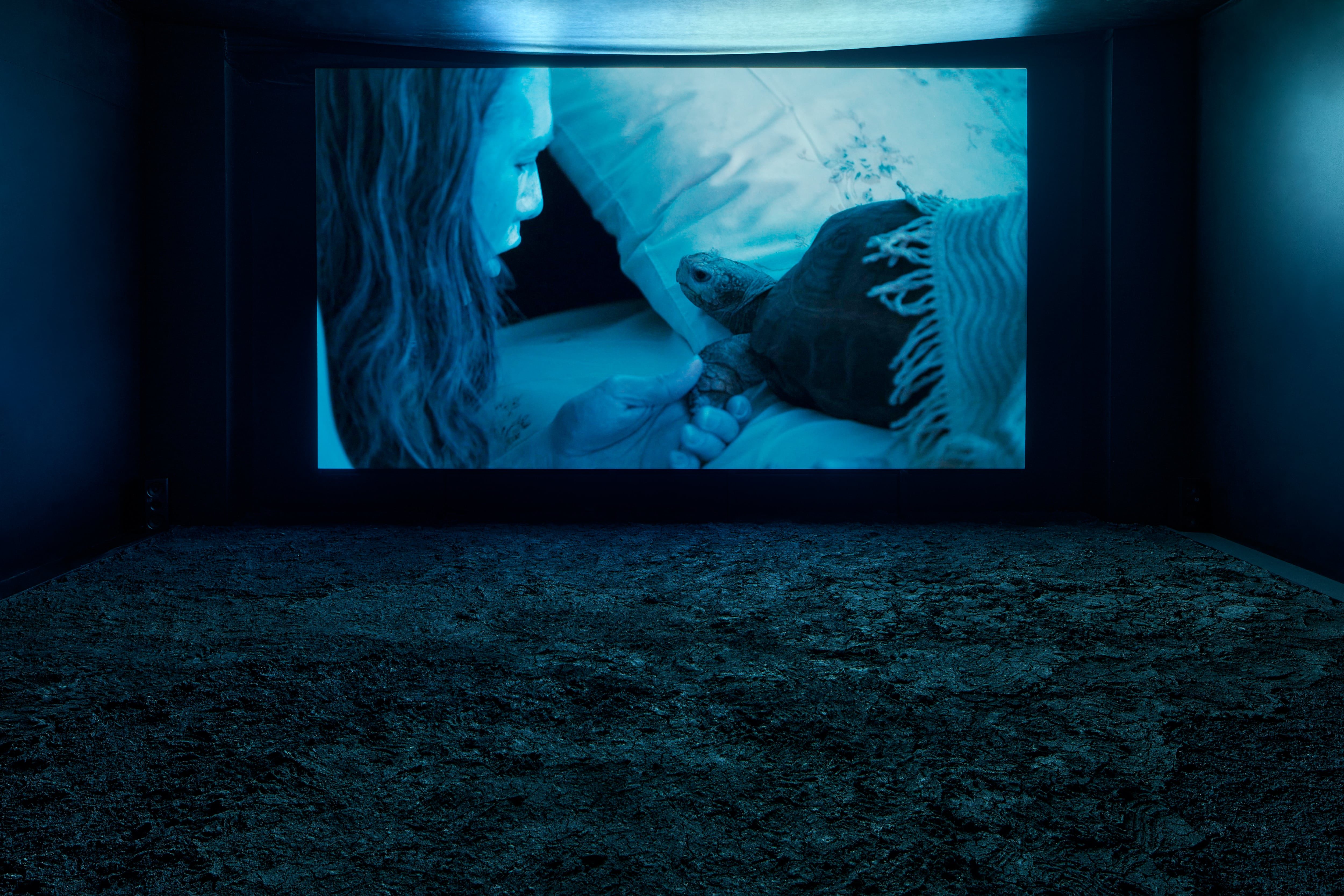 Korakrit Arunanondchai: The Finiteness of Our Songs Against the Infinity of Time and Space Exhibited films: With History in a Room Filled with People with Funny Name 4, 2017 Songs for Dying, 2021