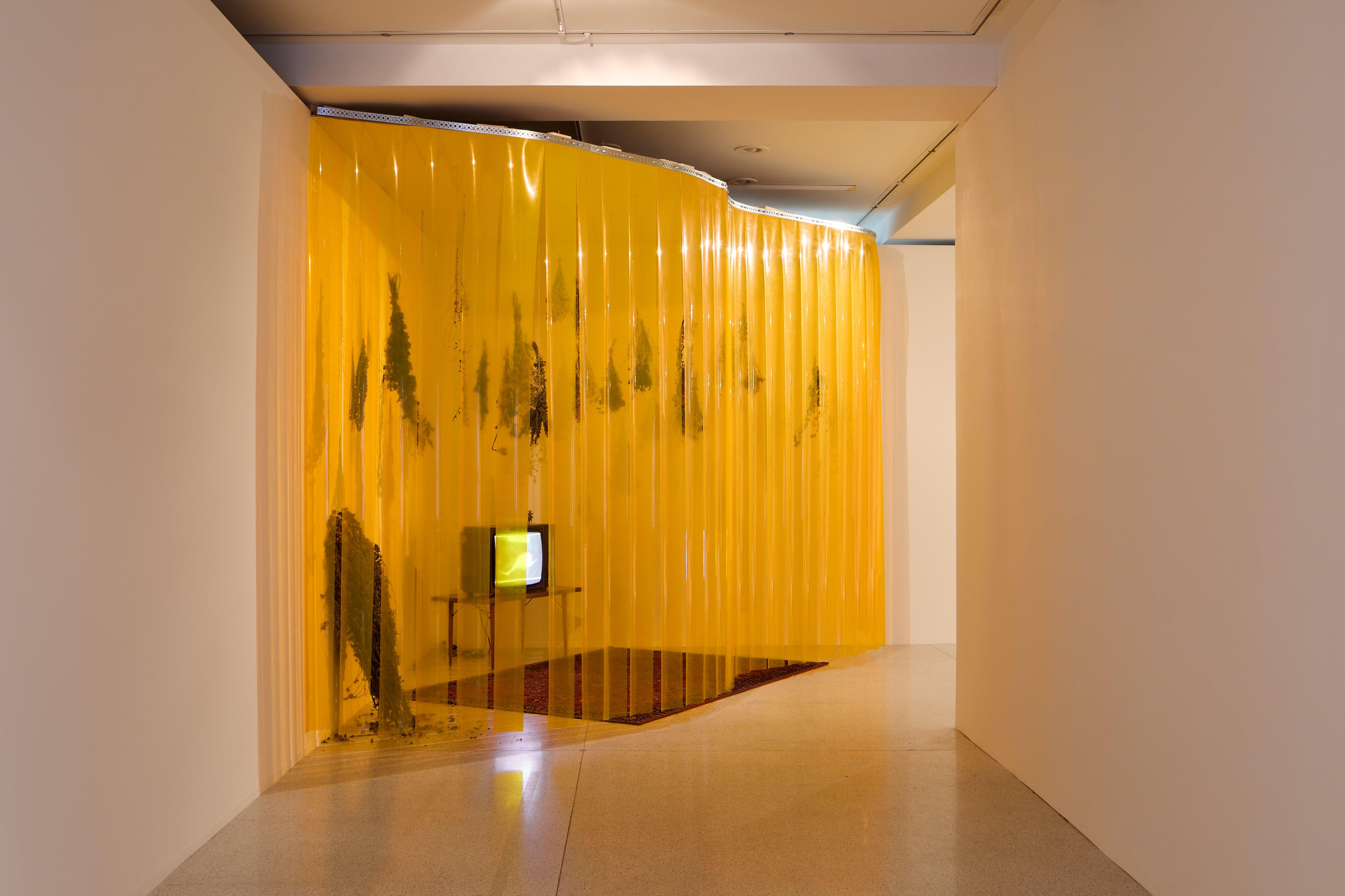 Ezra Šimek: Joyful Flame, installation and videos: Bodie, HD video, 7‘40“, lamellar screens, dried herbs The Trans* Vagabond of the Wild West, video, 9‘20“, lamellar screens Joyful Flame, 4K video, 22‘, lamellar screens