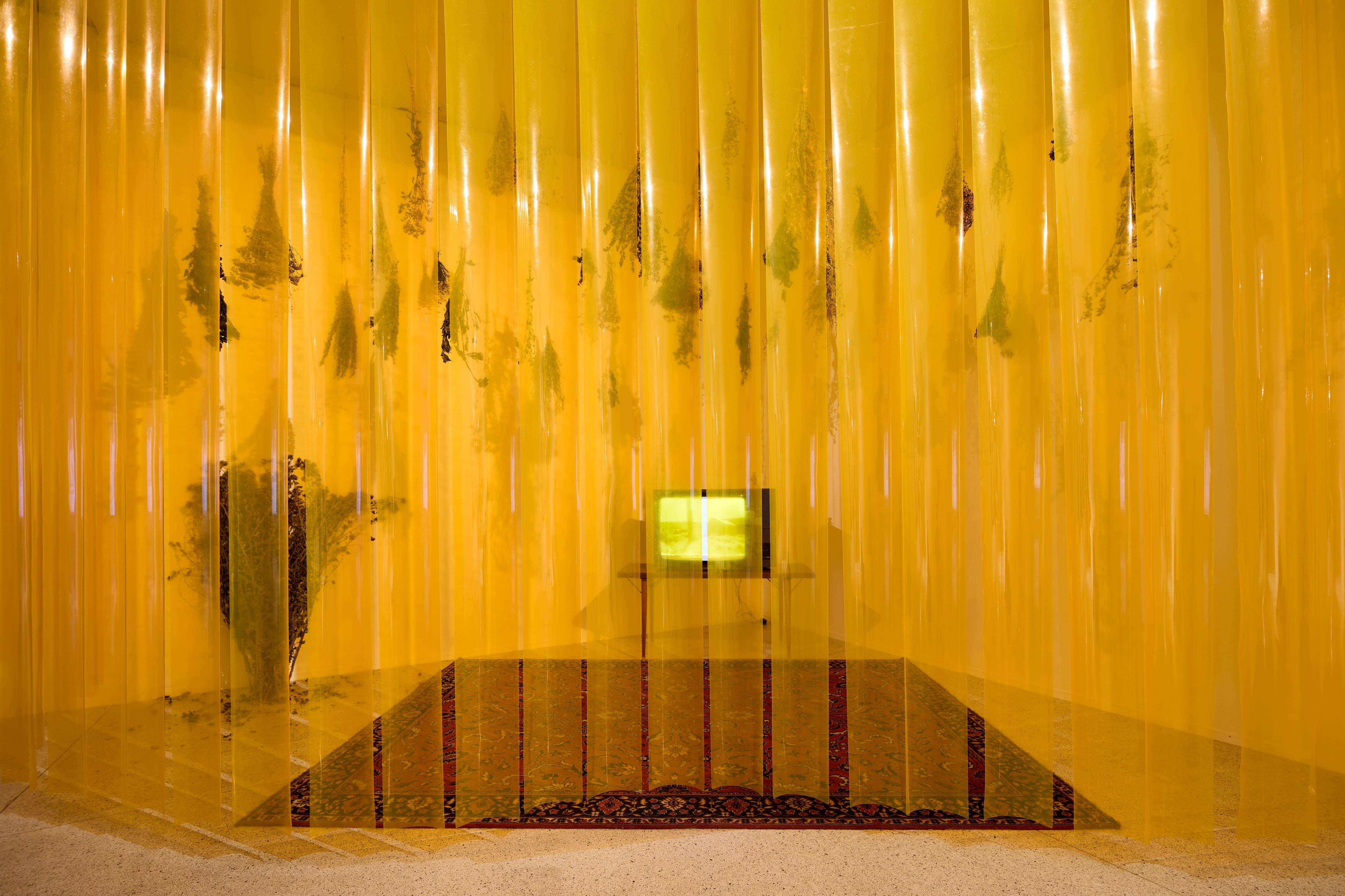 Ezra Šimek: Joyful Flame, installation and videos: Bodie, HD video, 7‘40“, lamellar screens, dried herbs The Trans* Vagabond of the Wild West, video, 9‘20“, lamellar screens Joyful Flame, 4K video, 22‘, lamellar screens