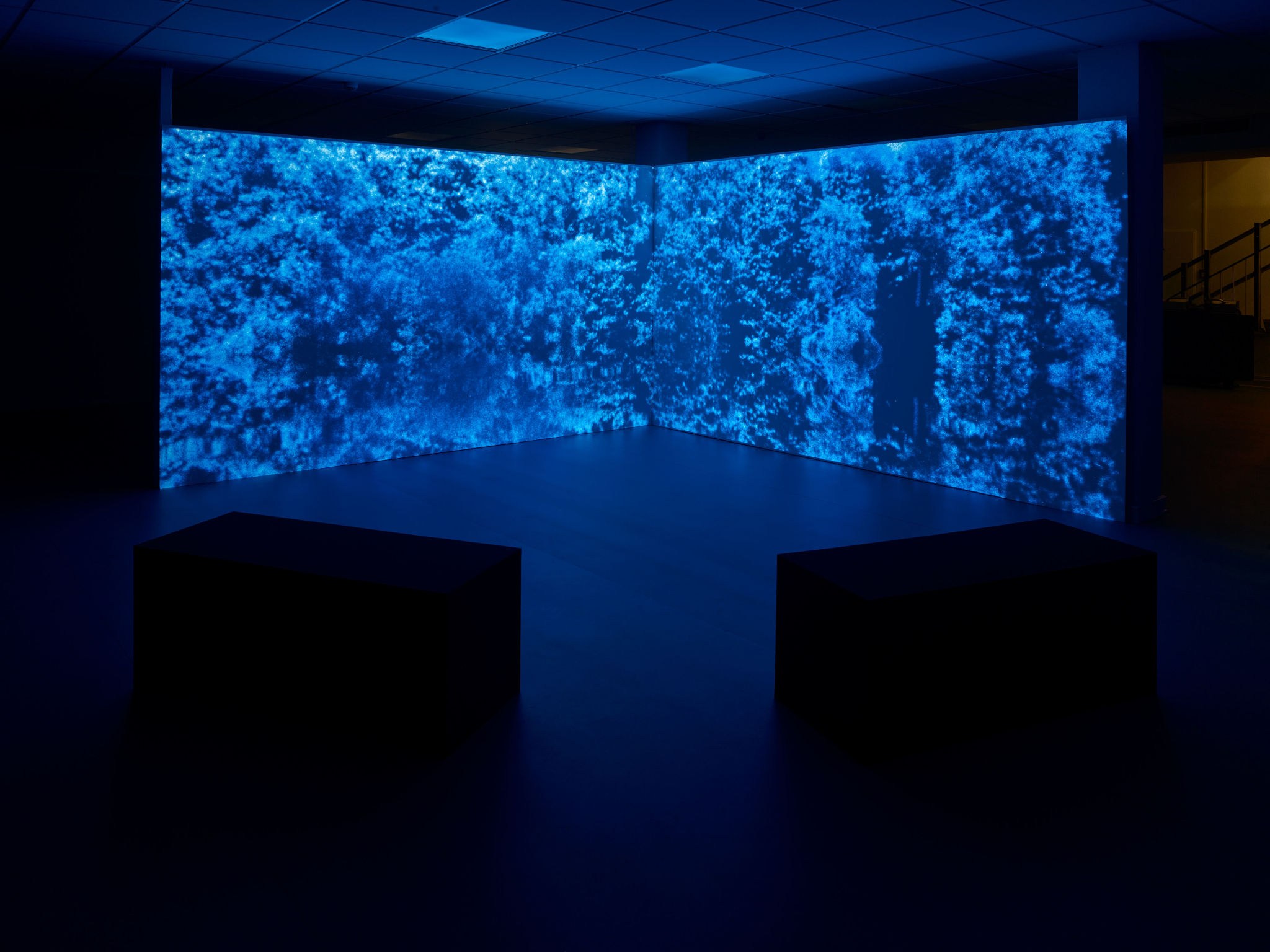 Fynn Ribbeck, Solid State Dream, 2-Channel-Animation, 2022, 18 min