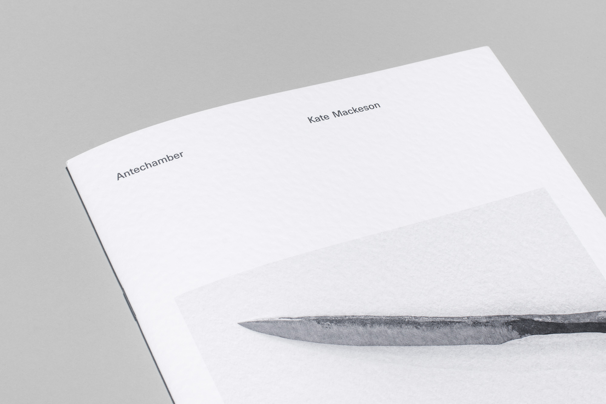 Publication view of "Kate Mackeson. Antechamber", Graphic Design by Vela Arbutina, Photography by Samuel Solazzo, Essays by Miriam Stoney, Antonina Krezdorn