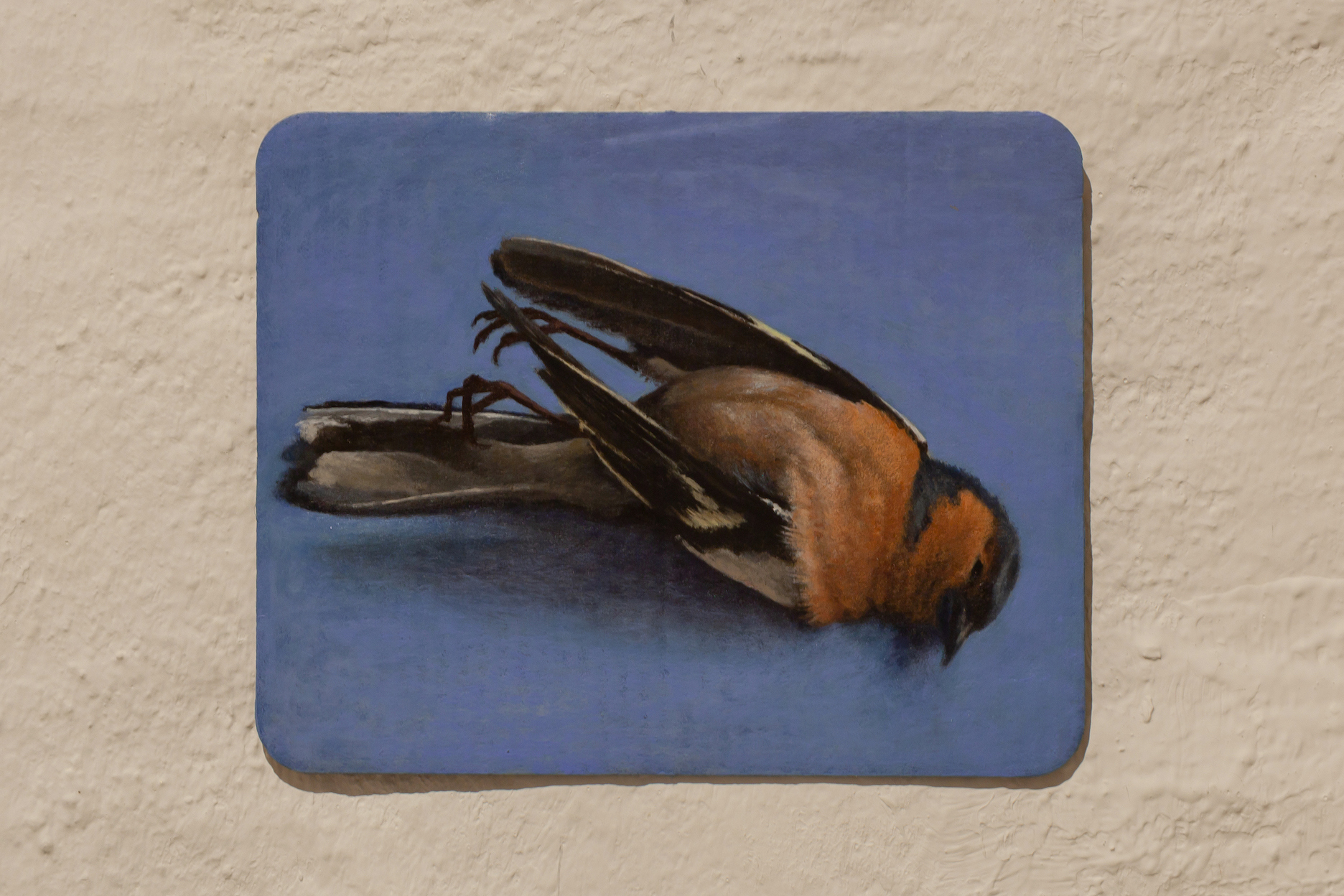 Louise Sartor, Pinson, 2022, acrylic on cardboard, 15 x 12 cm, unique.