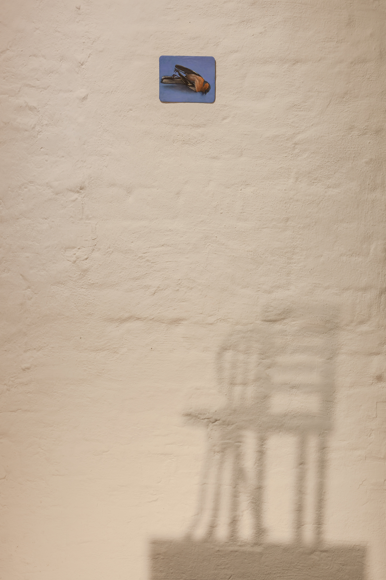 Mamoune, 2022, exhibition view, Pina, Vienna.