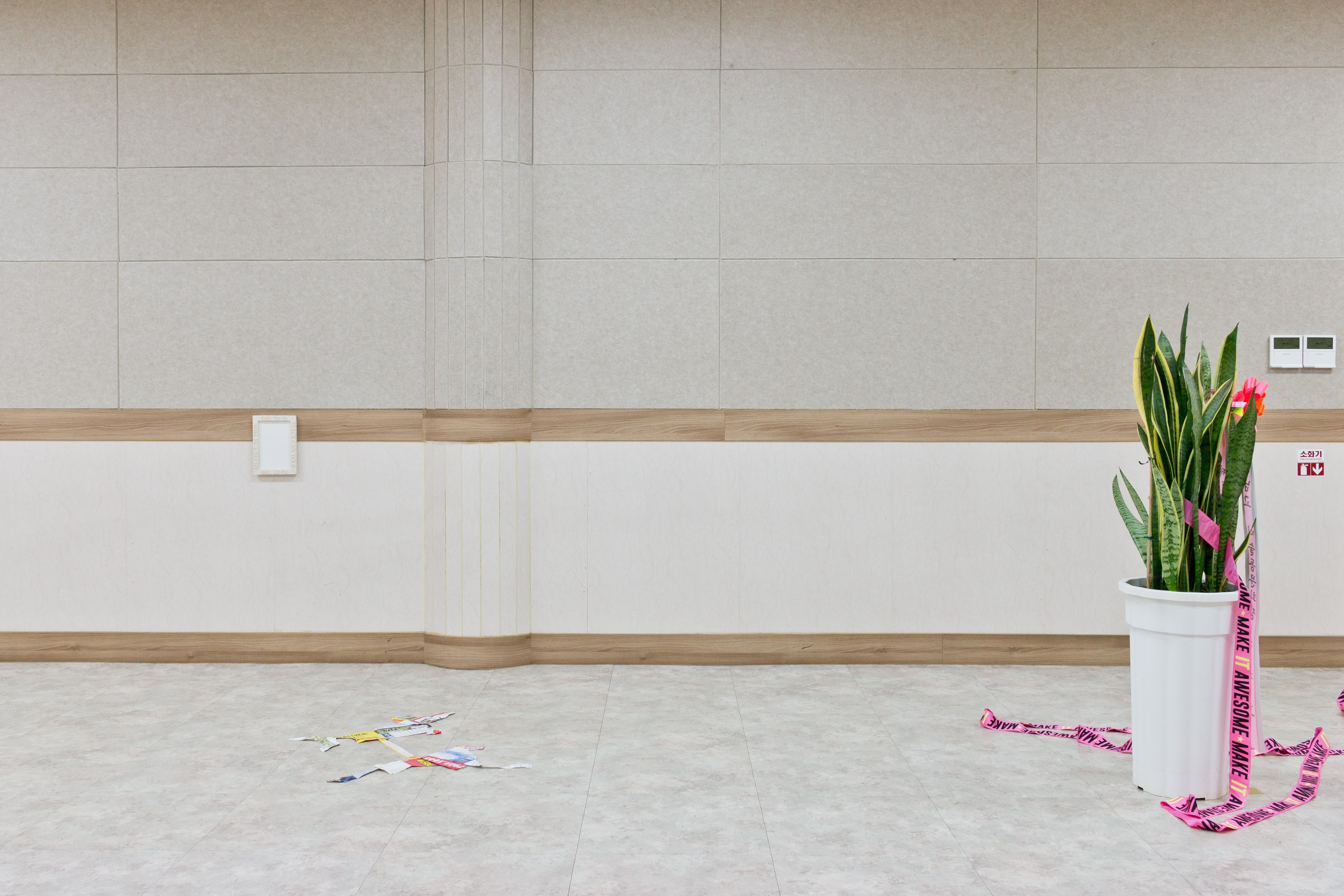 Installation View, Kay Yoon, Nicola Bizzarri, Lorand Lajos