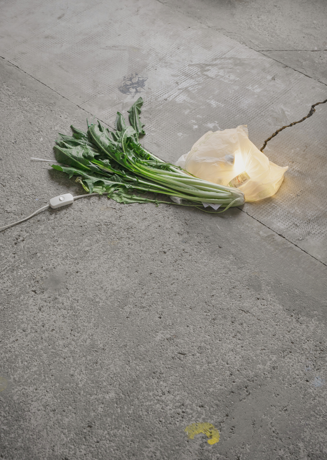 Andréa Sparta , untitled (Mek Pol Controllo IV) - 2022 photo ©Juliette Alhmah