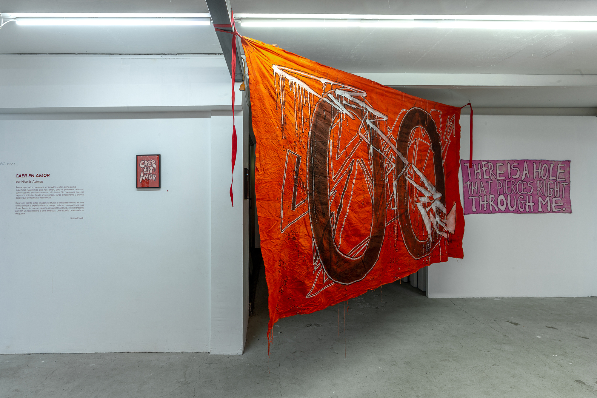 CAER EN AMOR, exhibition view 11