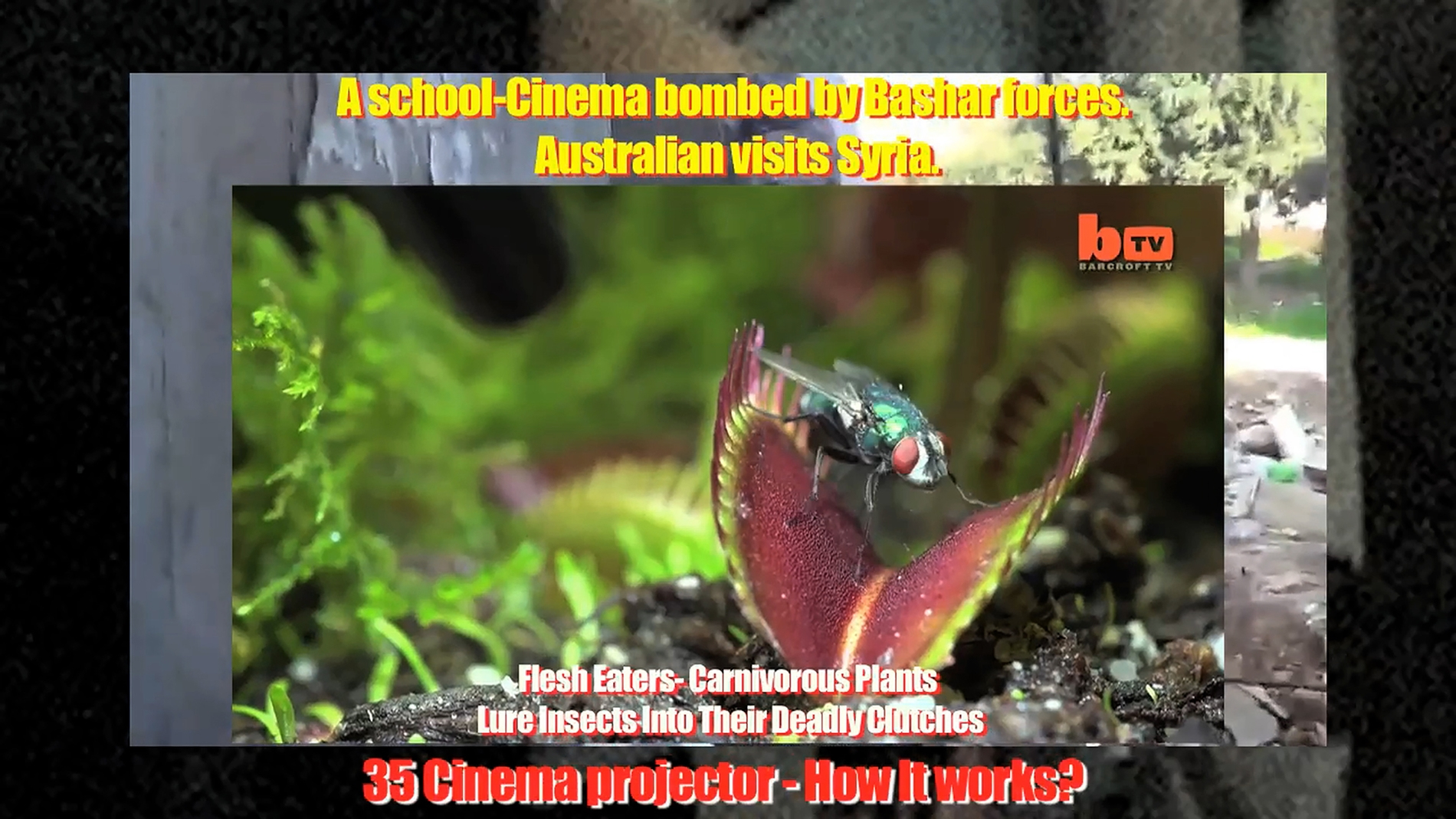 Keren Cytter, Metamorphosis, HD video, colour, sound  11â07â, still  © the artist