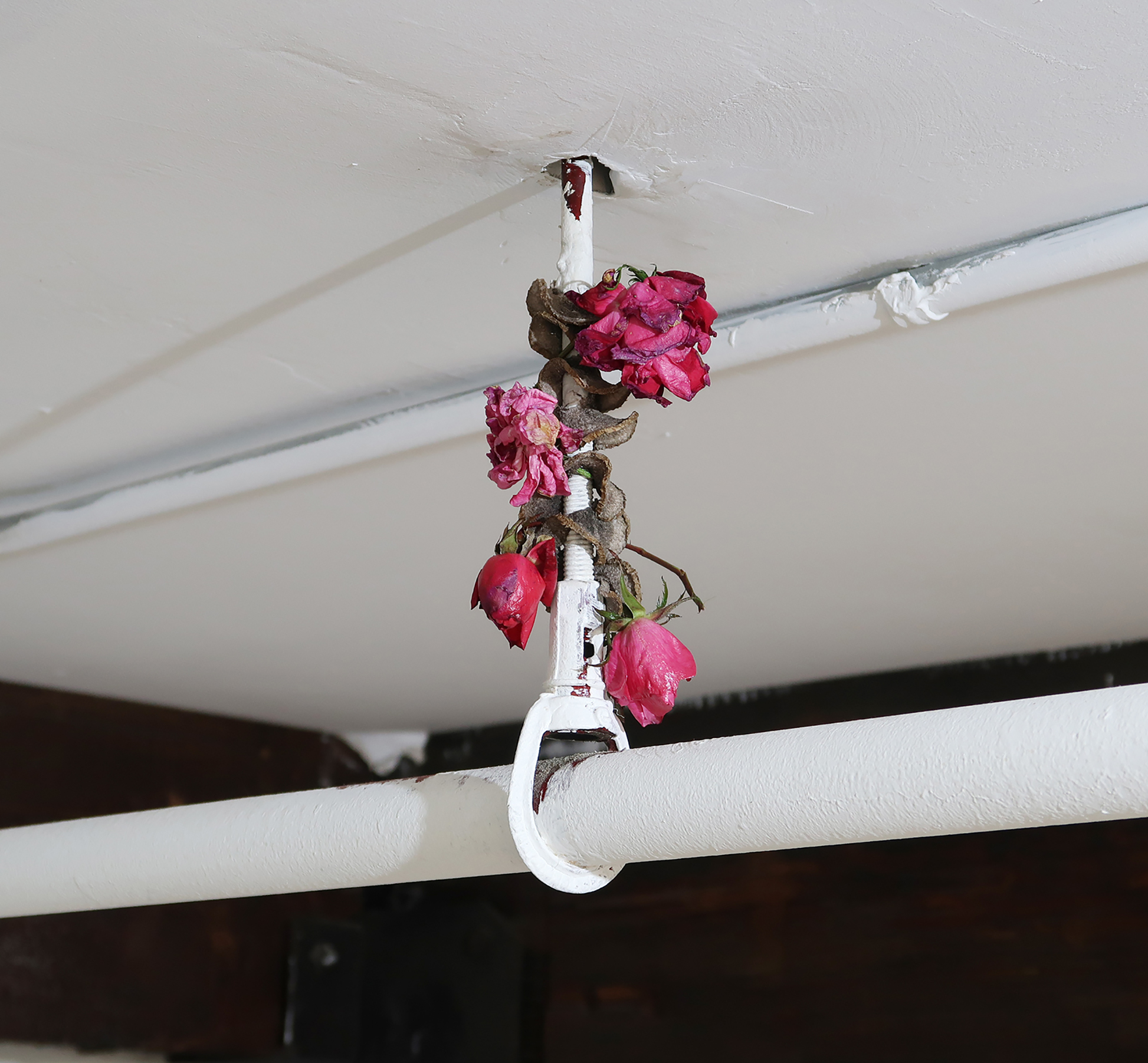 Umico Niwa, Spiral Series: Untitled #1, Potato and foraged flowers, 2022