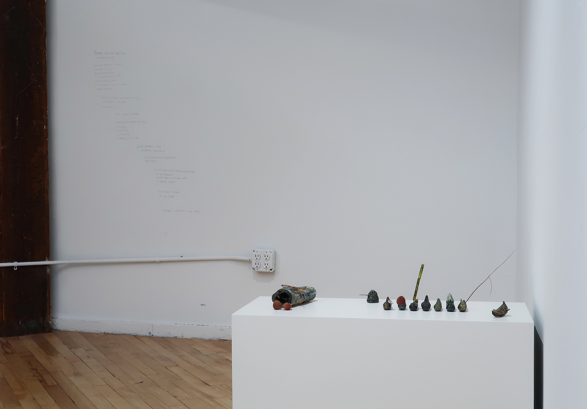 Several Species Of Small Furry Animals Gathered Together In A Cave And Grooving With A Pict - Installation view, Subtitled NYC, 2022-2023