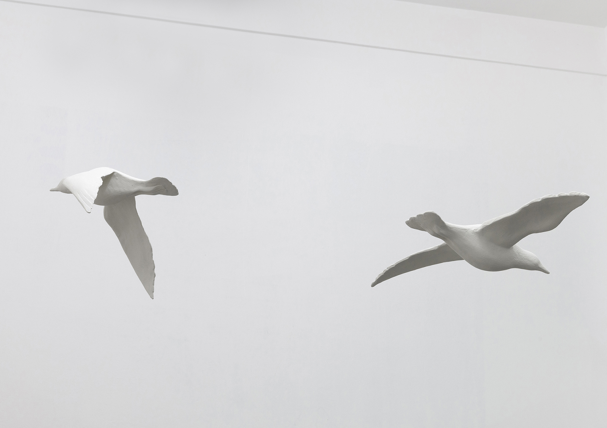 Seagulls, 2022, wood, plaster, actual size, ph. Giorgio Benni