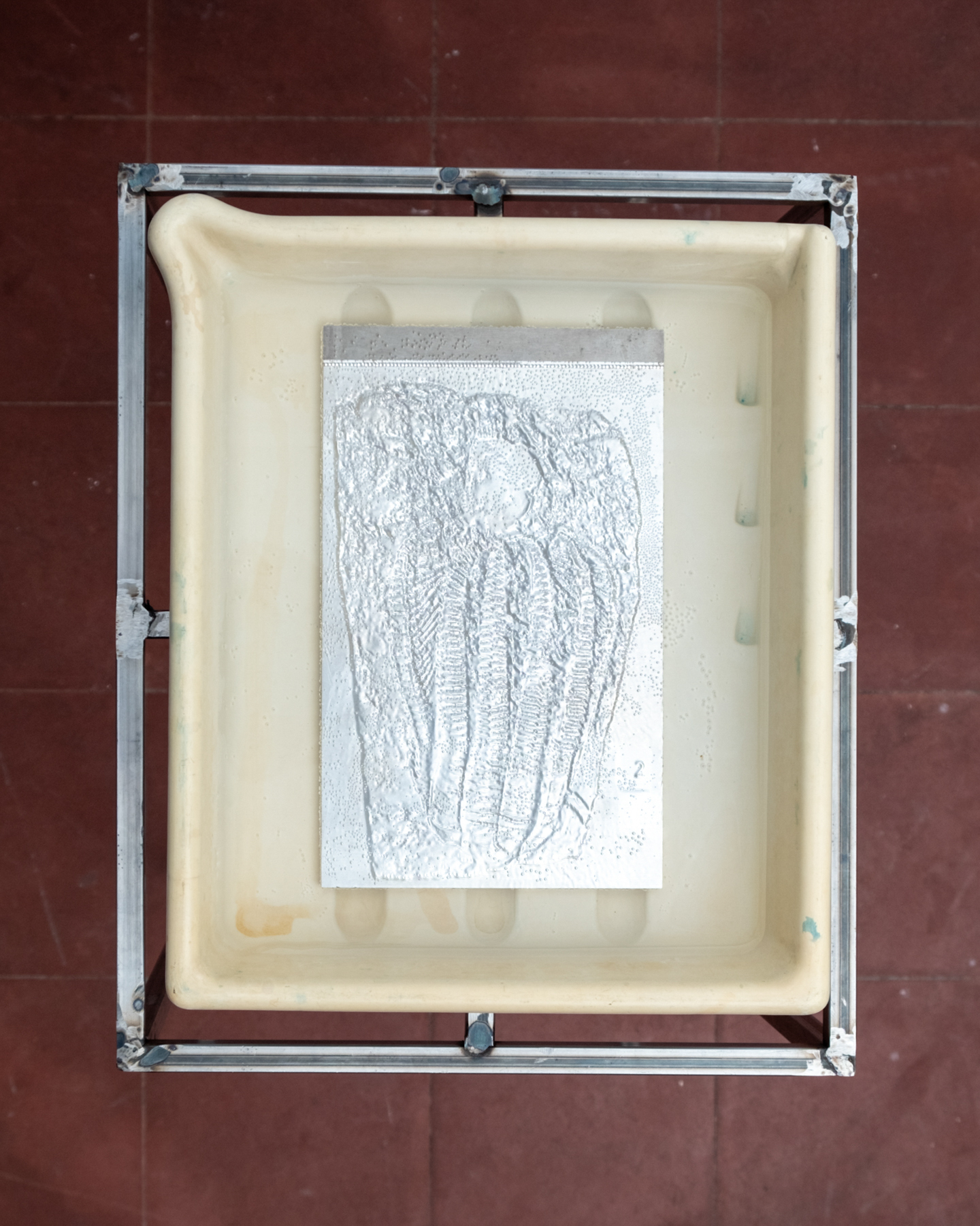 Timo Correwyn âFossils for A Ceremonyâ (2022)