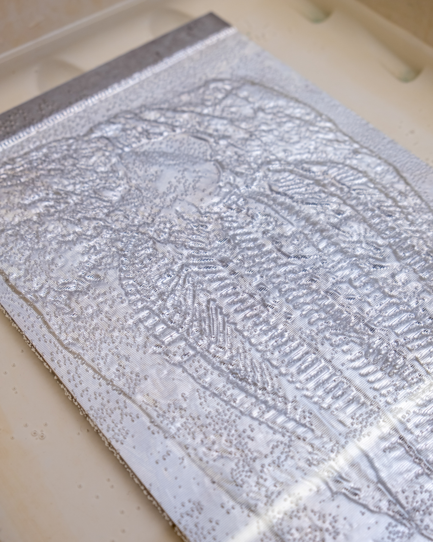 Timo Correwyn âFossils for A Ceremonyâ (2022)