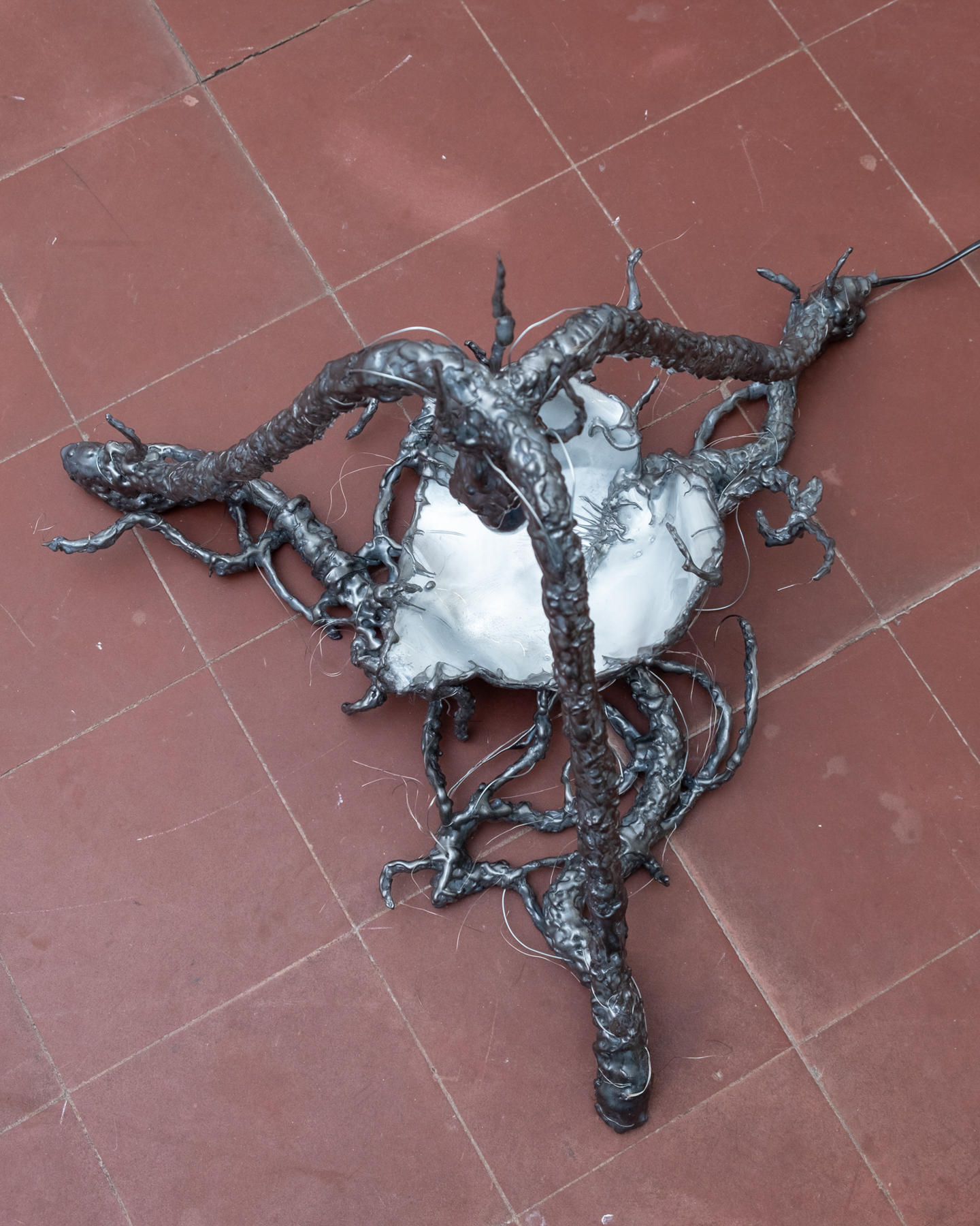 Prune âUntitledâ (2022)