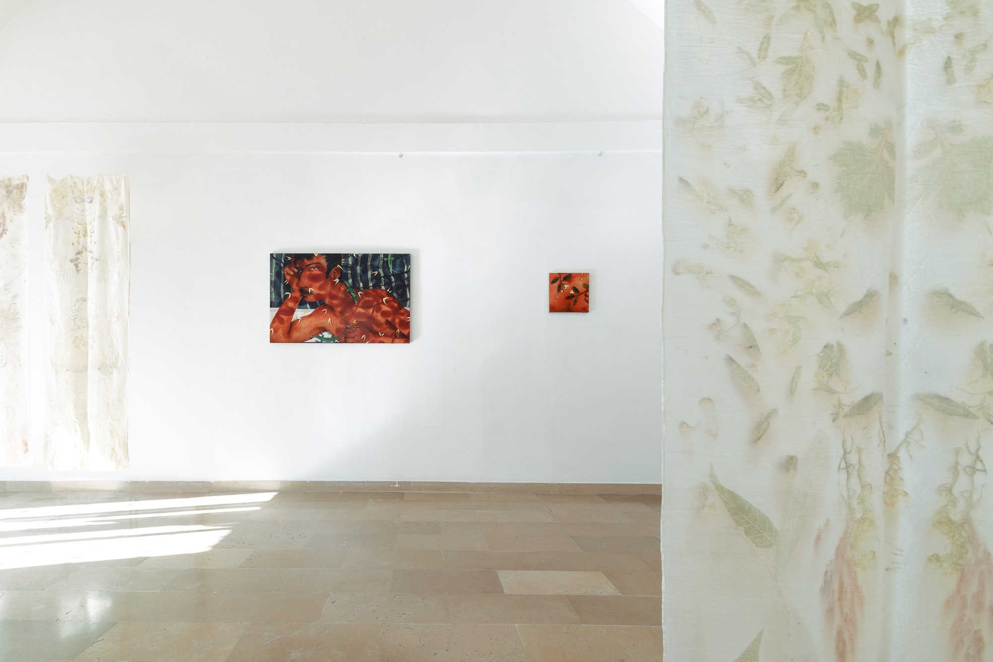 Controra Ep. IV, Installation view - Chiara Camoni, Roberto de Pinto