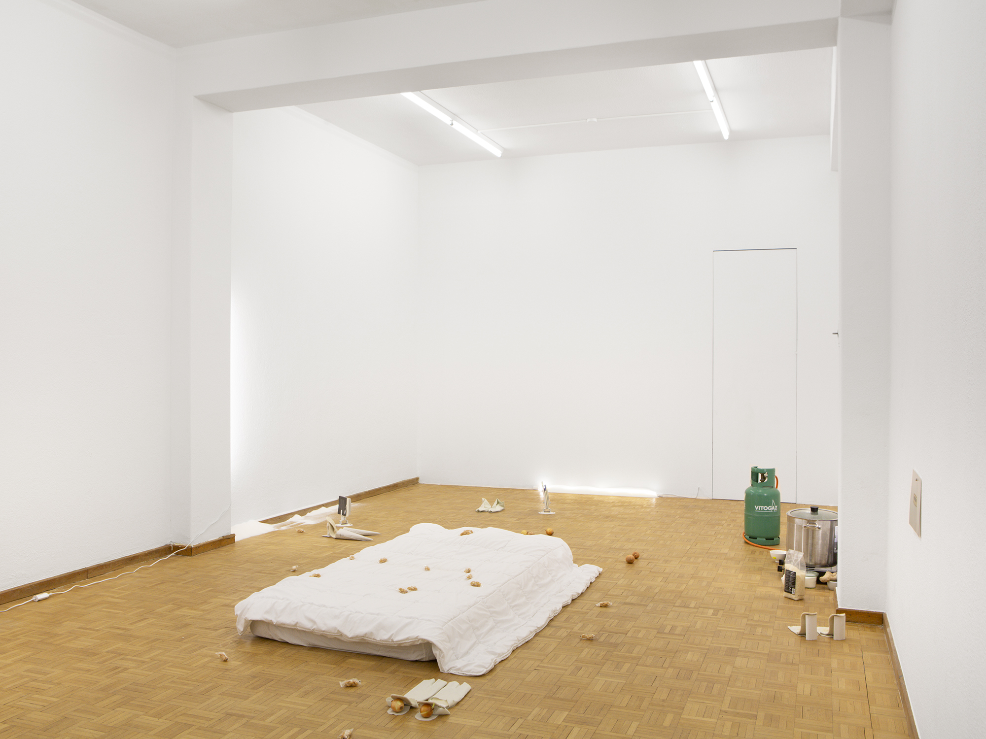 Economy of Means, Céline Mathieu, Installation View