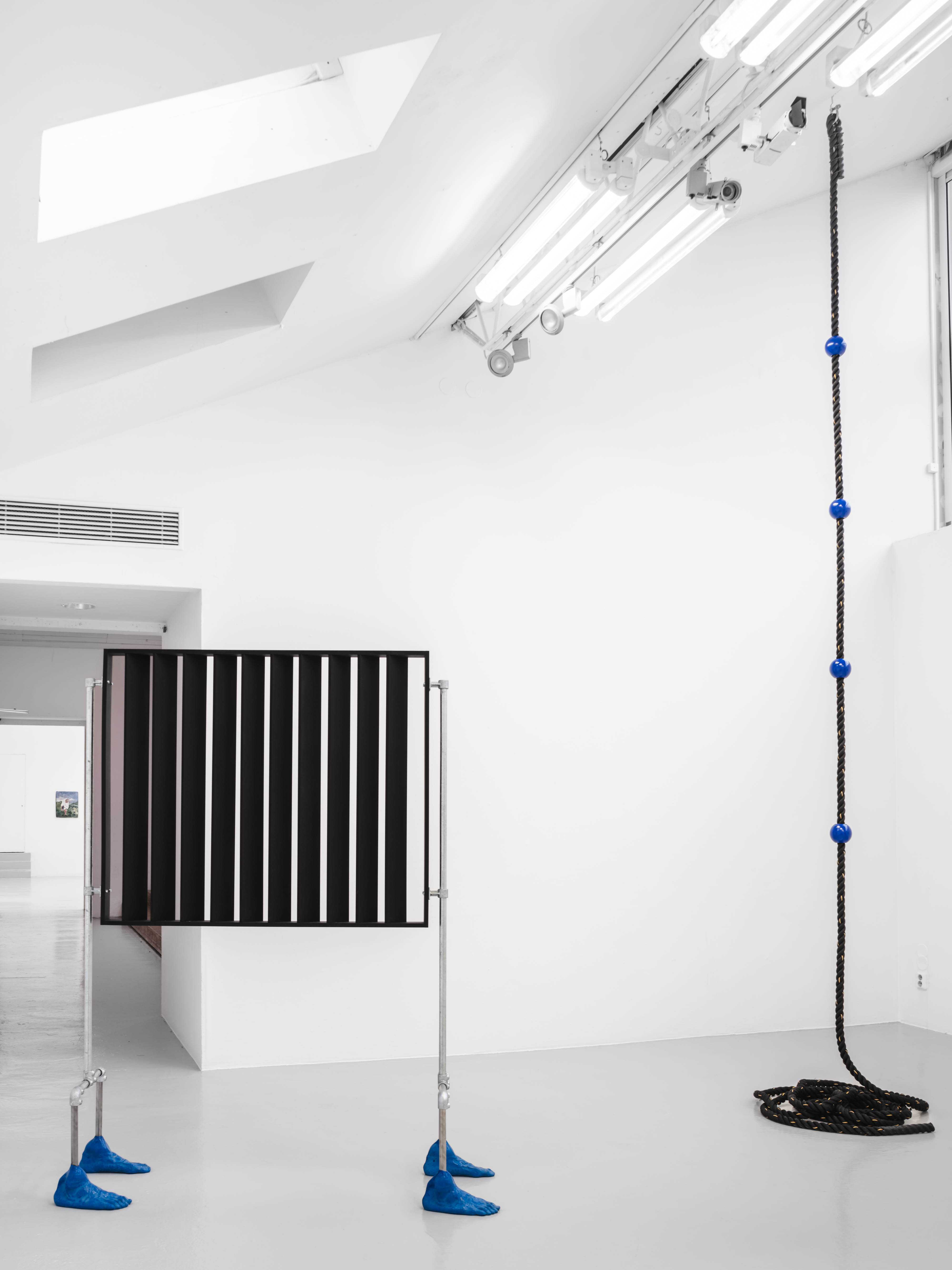 Cruise blinder & Abseiling to a Gay Beach, Rope, PLA, Paint Medium, UV Resistant Lacquer 300 x 50 x 50 cm