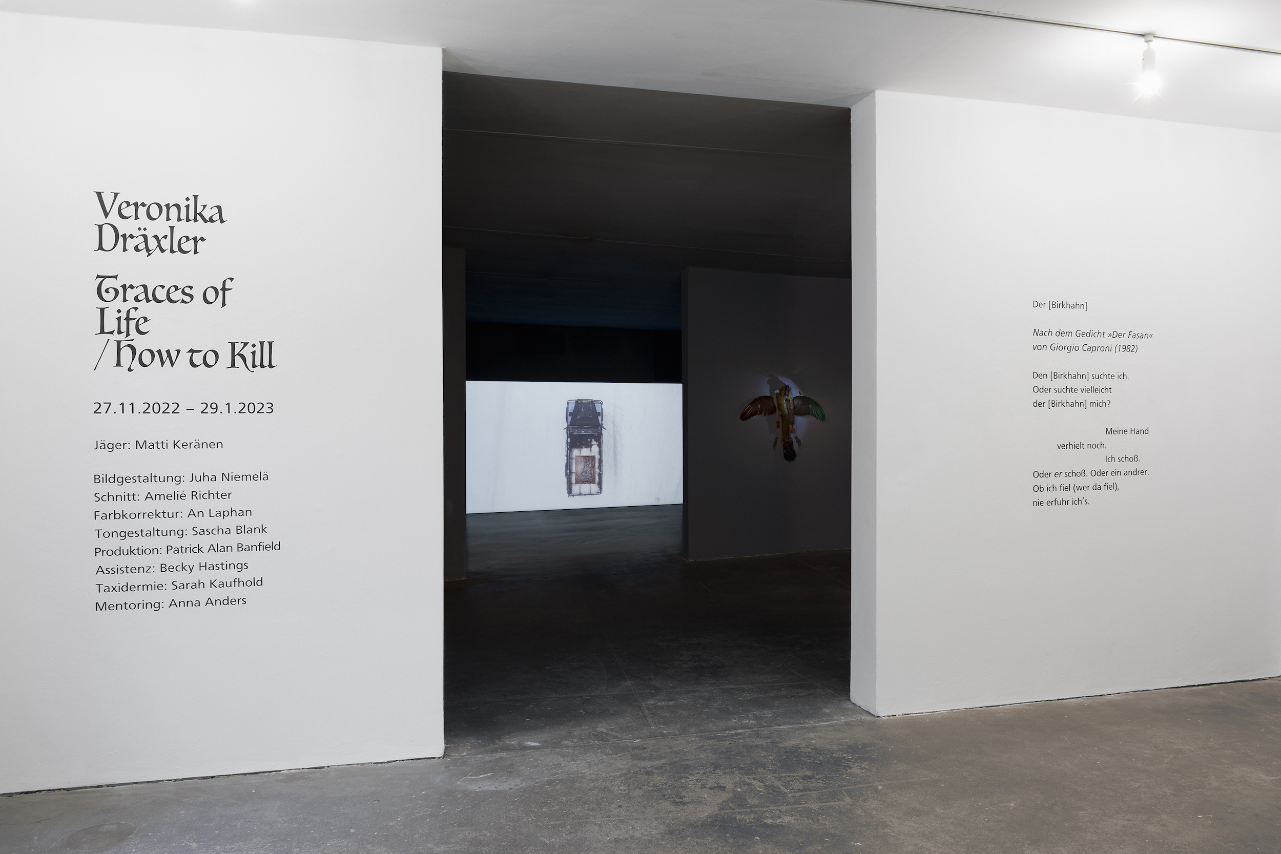 Veronika Dräxler, Exhibthion view Traces of Life / How to Kill, Kunstverein Grafschaft Bentheim. Photo kvgb 2022.