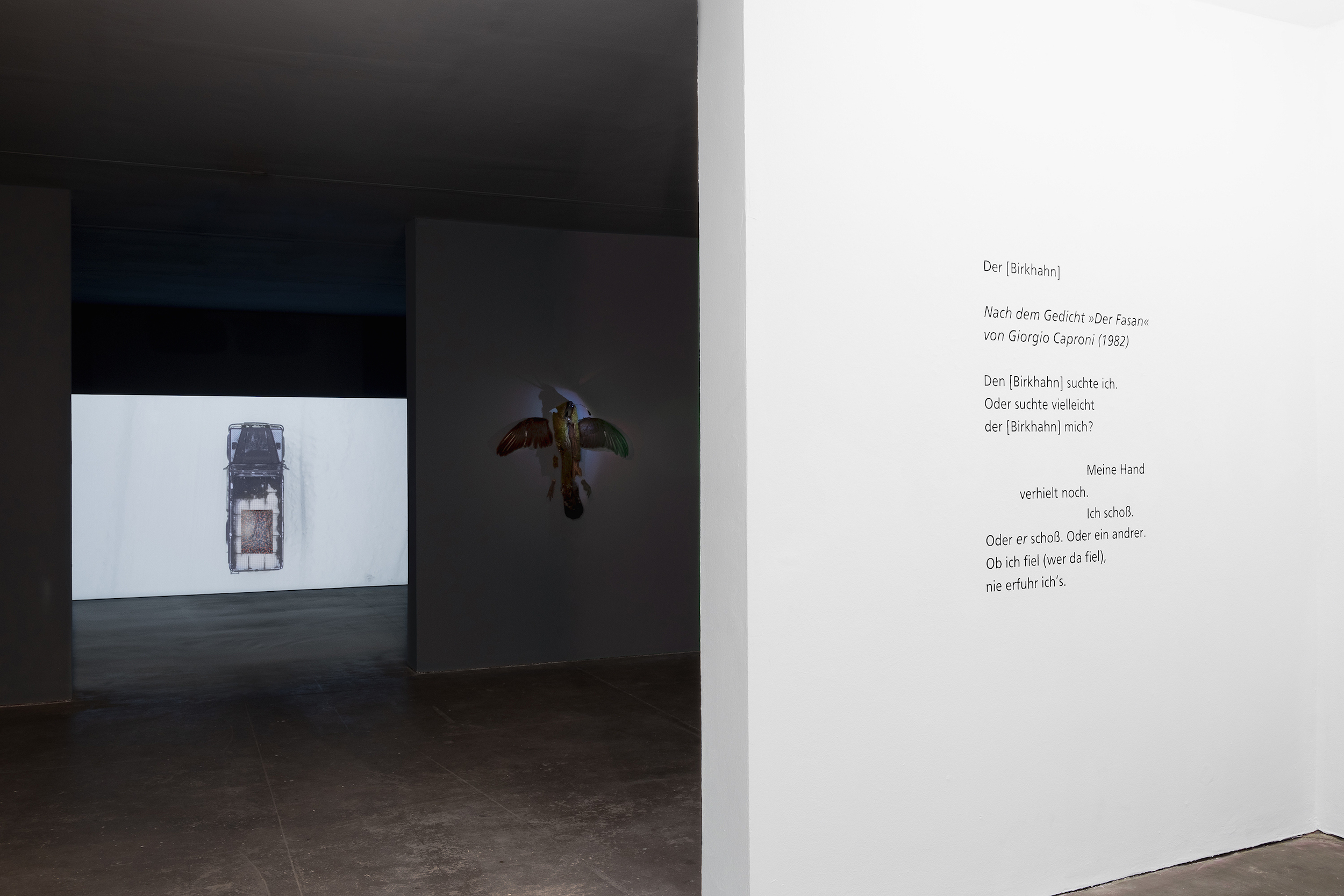 Veronika Dräxler, Exhibthion view Traces of Life / How to Kill, Kunstverein Grafschaft Bentheim. Photo kvgb 2022.