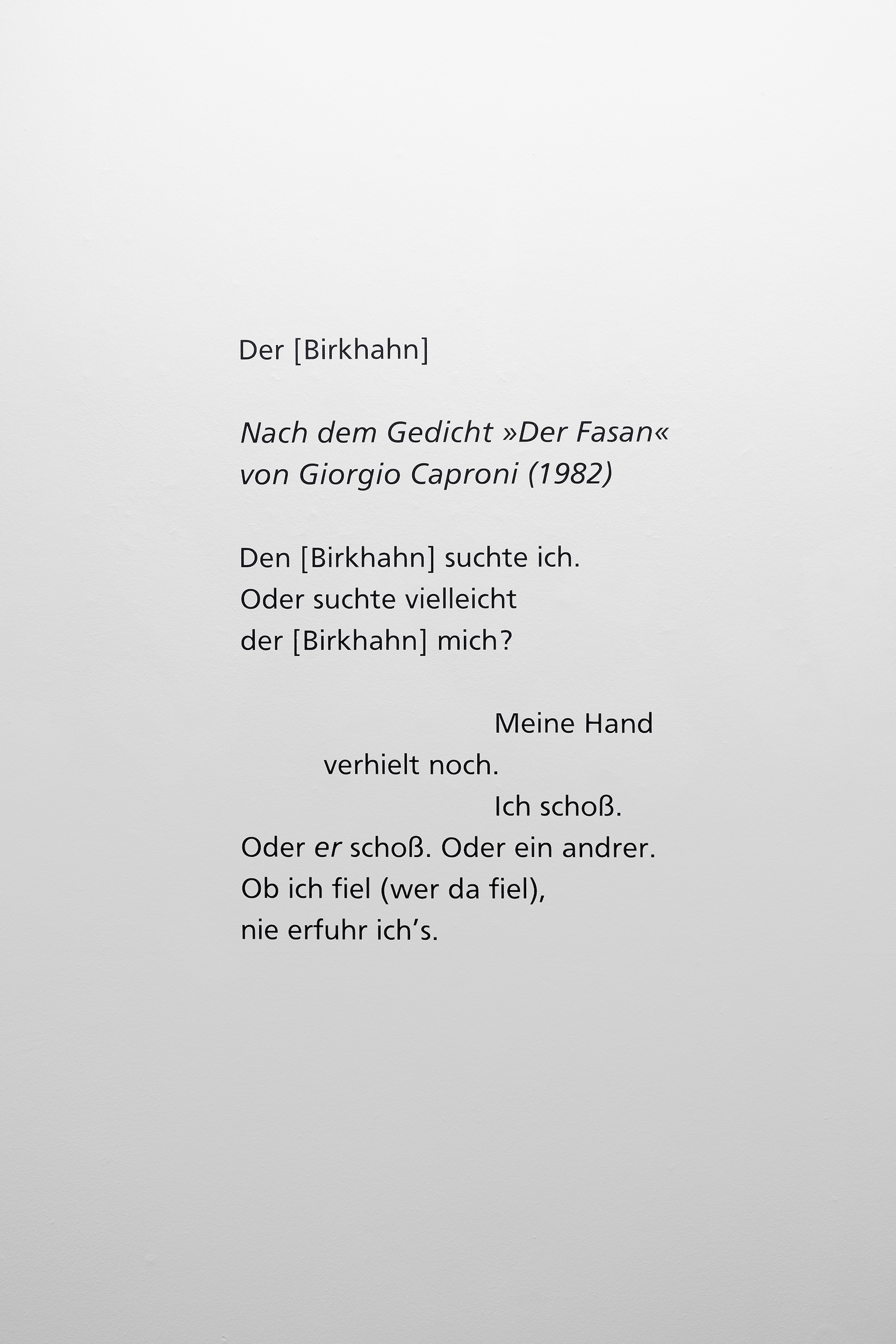 Veronika Dräxler, Exhibthion view Traces of Life / How to Kill, Kunstverein Grafschaft Bentheim. Photo kvgb 2022.