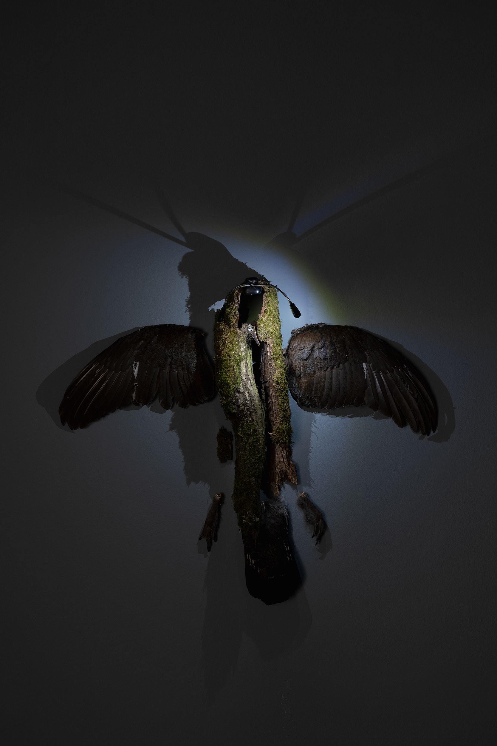 Veronika Dräxler, Mutation, 2022, Kunstverein Grafschaft Bentheim. Photo kvgb 2022.