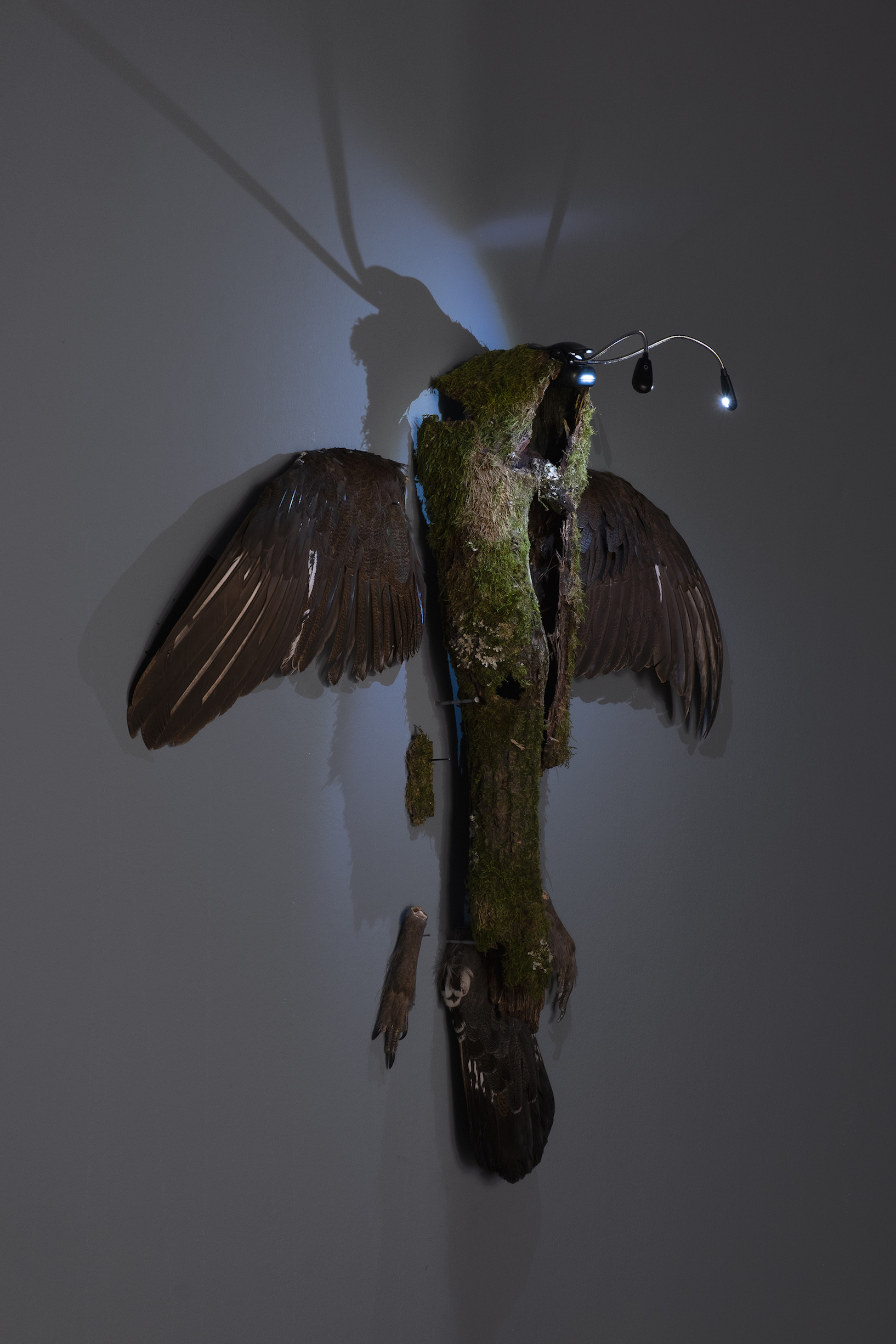 Veronika Dräxler, Mutation, 2022, Kunstverein Grafschaft Bentheim. Photo kvgb 2022.