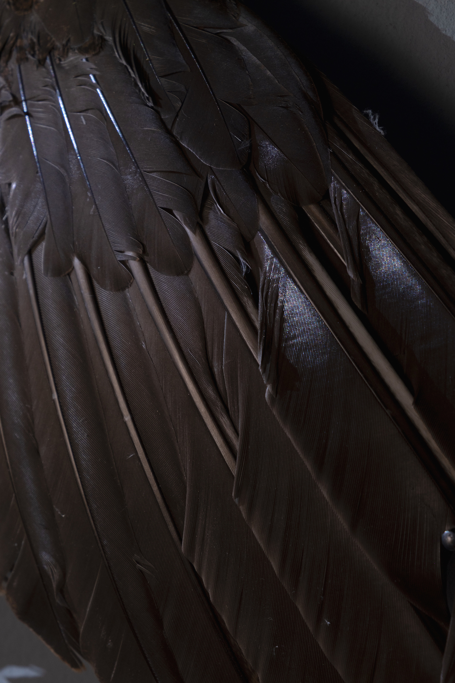 Veronika Dräxler, Mutation, 2022 (detail), Kunstverein Grafschaft Bentheim. Photo kvgb 2022.