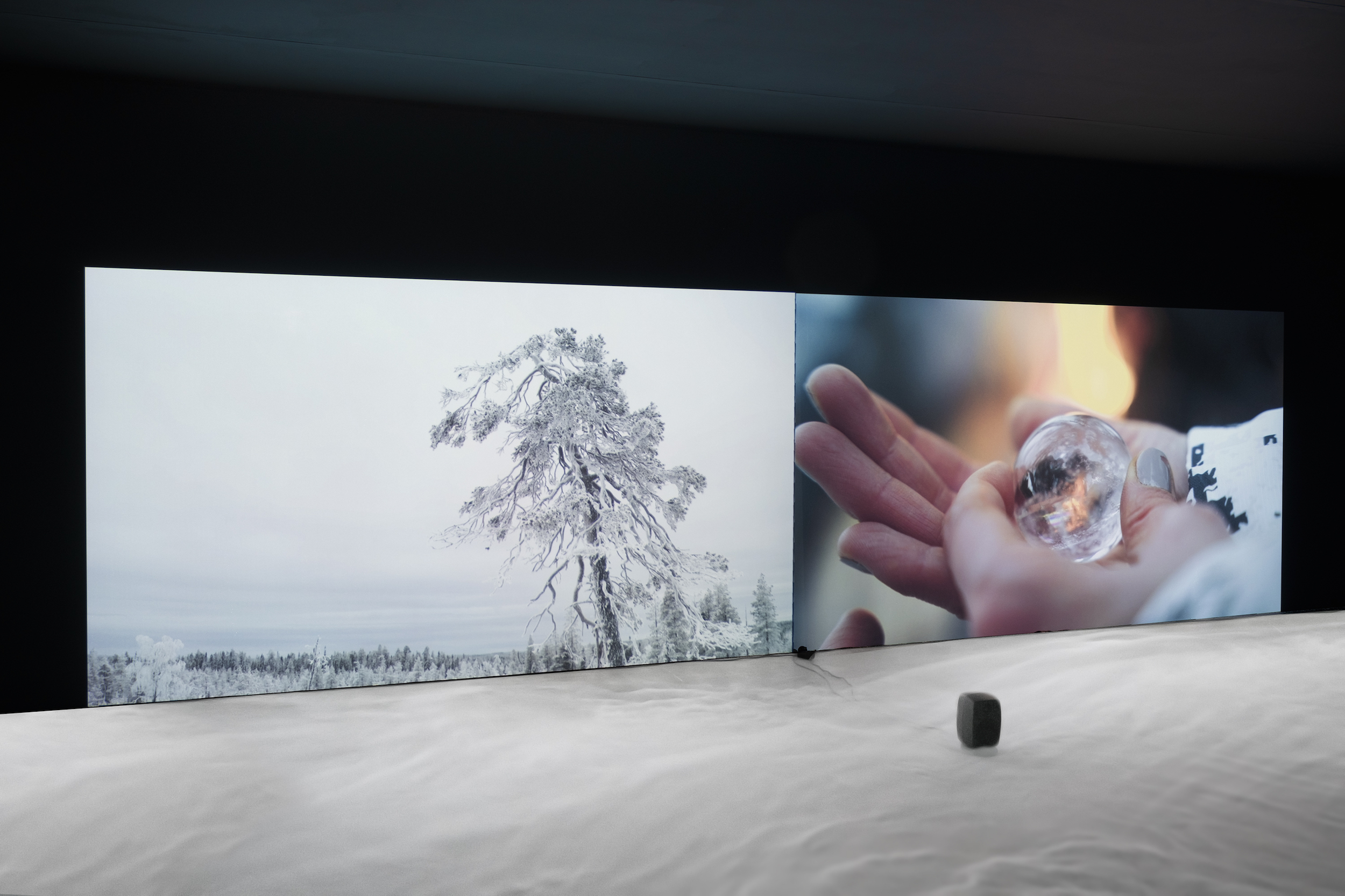 Veronika Dräxler, Traces of Life / How to Kill (Part 1), 2022, 5 min, Two-channel video installation, Kunstverein Grafschaft Bentheim. Photo kvgb 2022.
