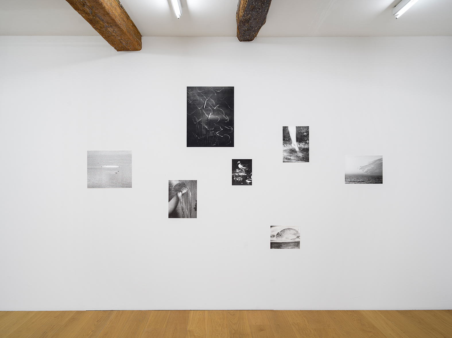 i am see, Installation view at Kirchgasse Gallery, 2022 / Photo: Cedric Mussano / Courtesy: the artist and Kirchgasse Gallery