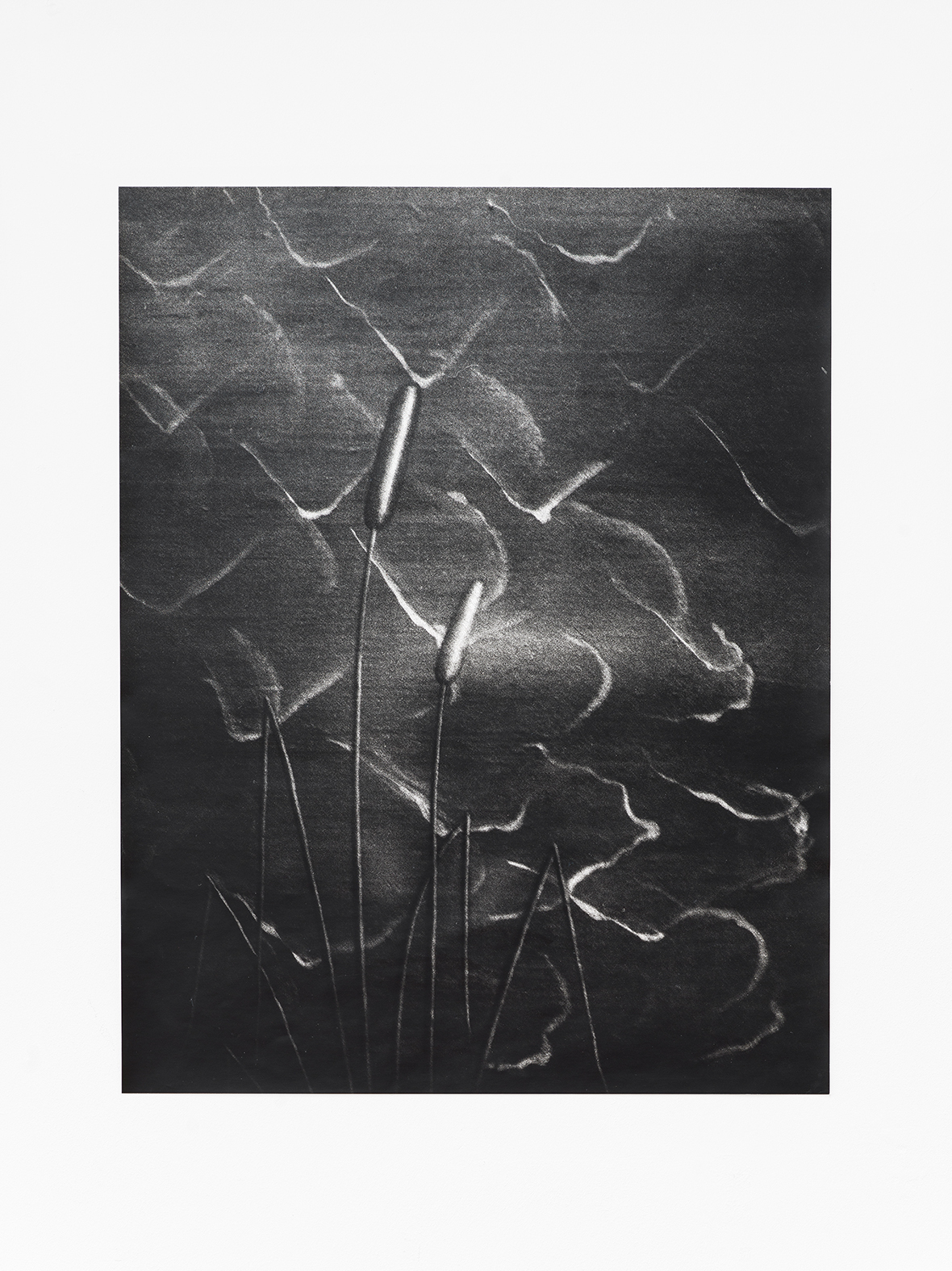 Jochen Lempert, Boticelli III, Gelatin silver print on baryta paper, 61.5 Ă 48 cm, 2017/2022 / Photo: Cedric Mussano / Courtesy of the artist, Kirchgasse, Steckborn and ProjecteSD, Barcelona